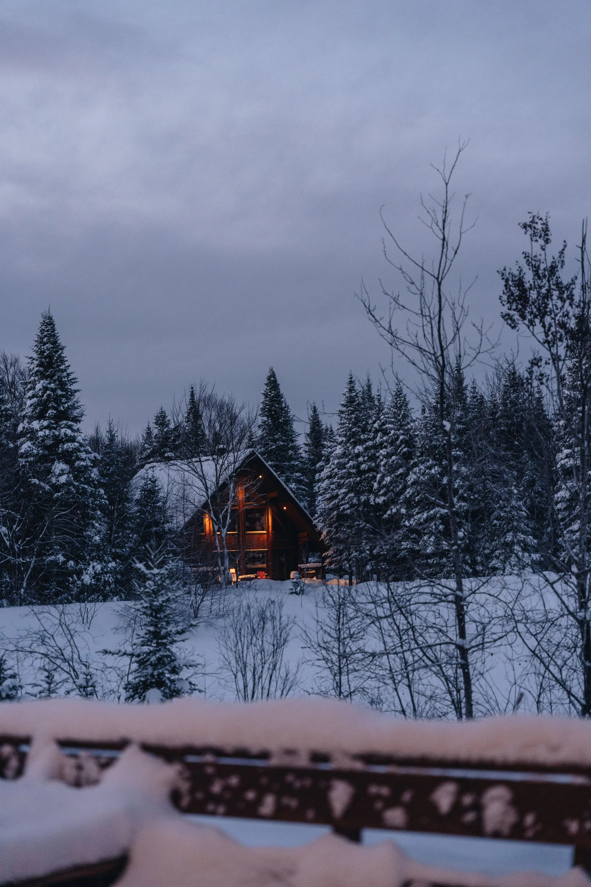 Au chalet en bois rond_onvasepromener 144.jpg