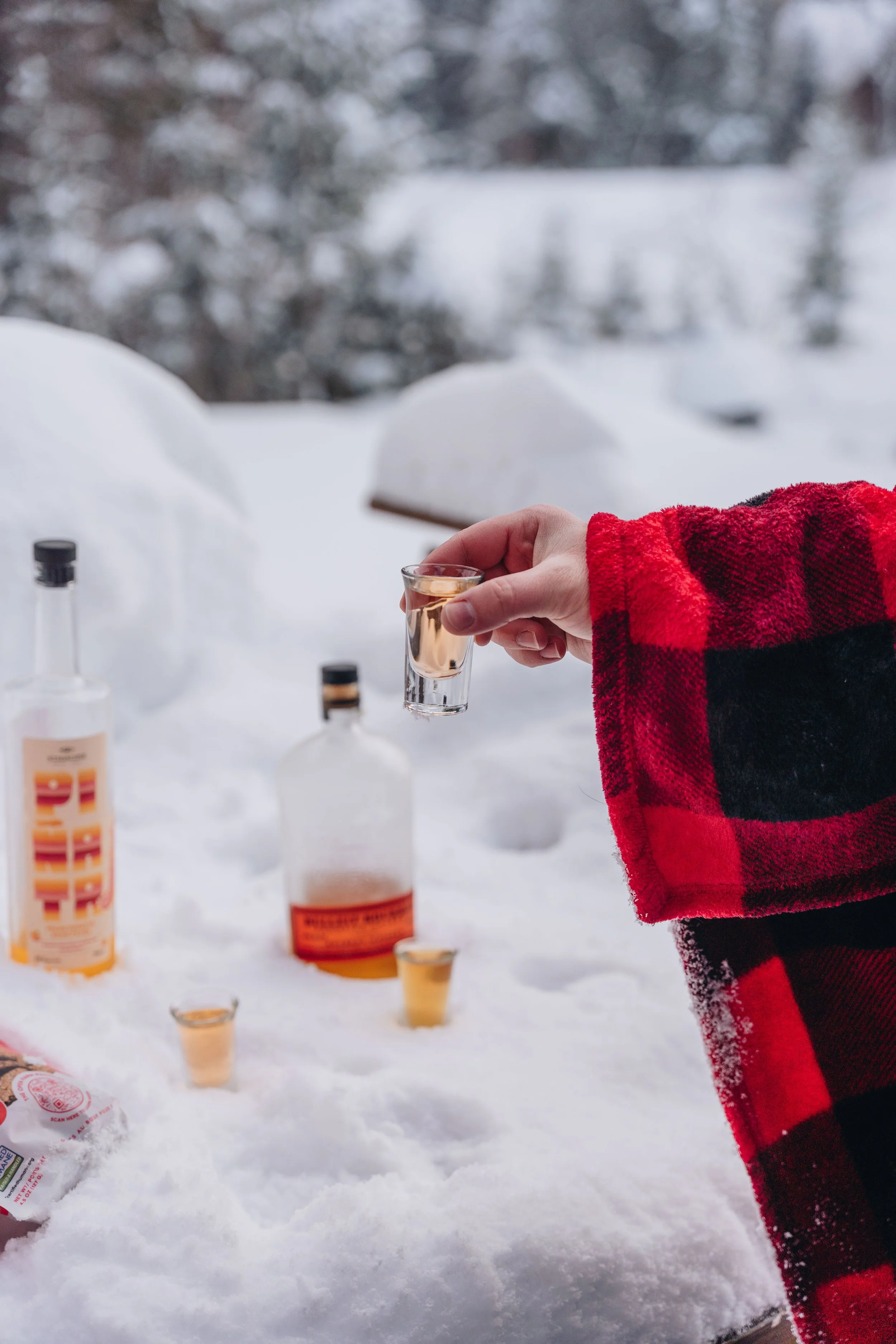 Au chalet en bois rond_onvasepromener 108.jpg