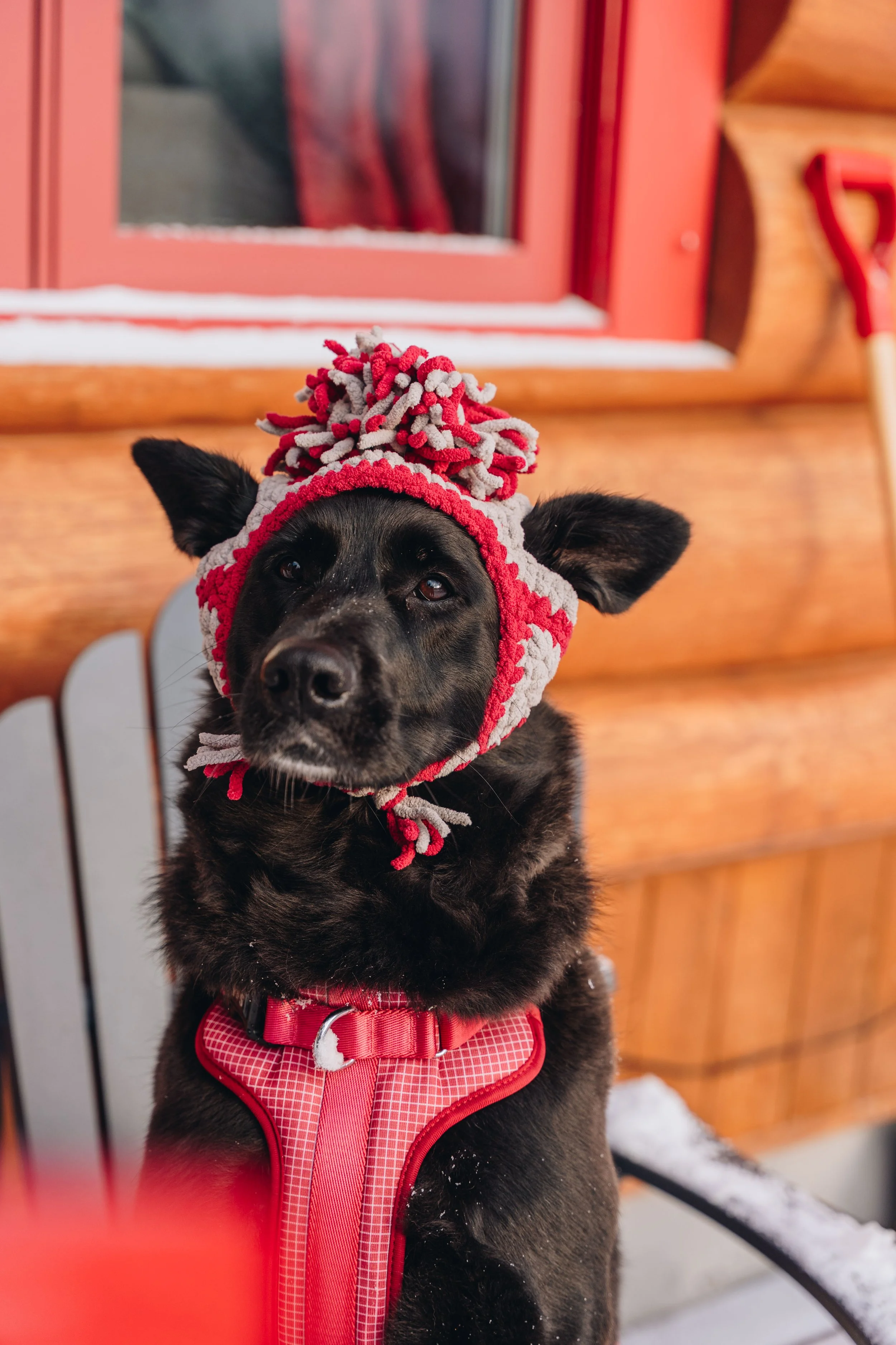 Au chalet en bois rond_onvasepromener 122.jpg