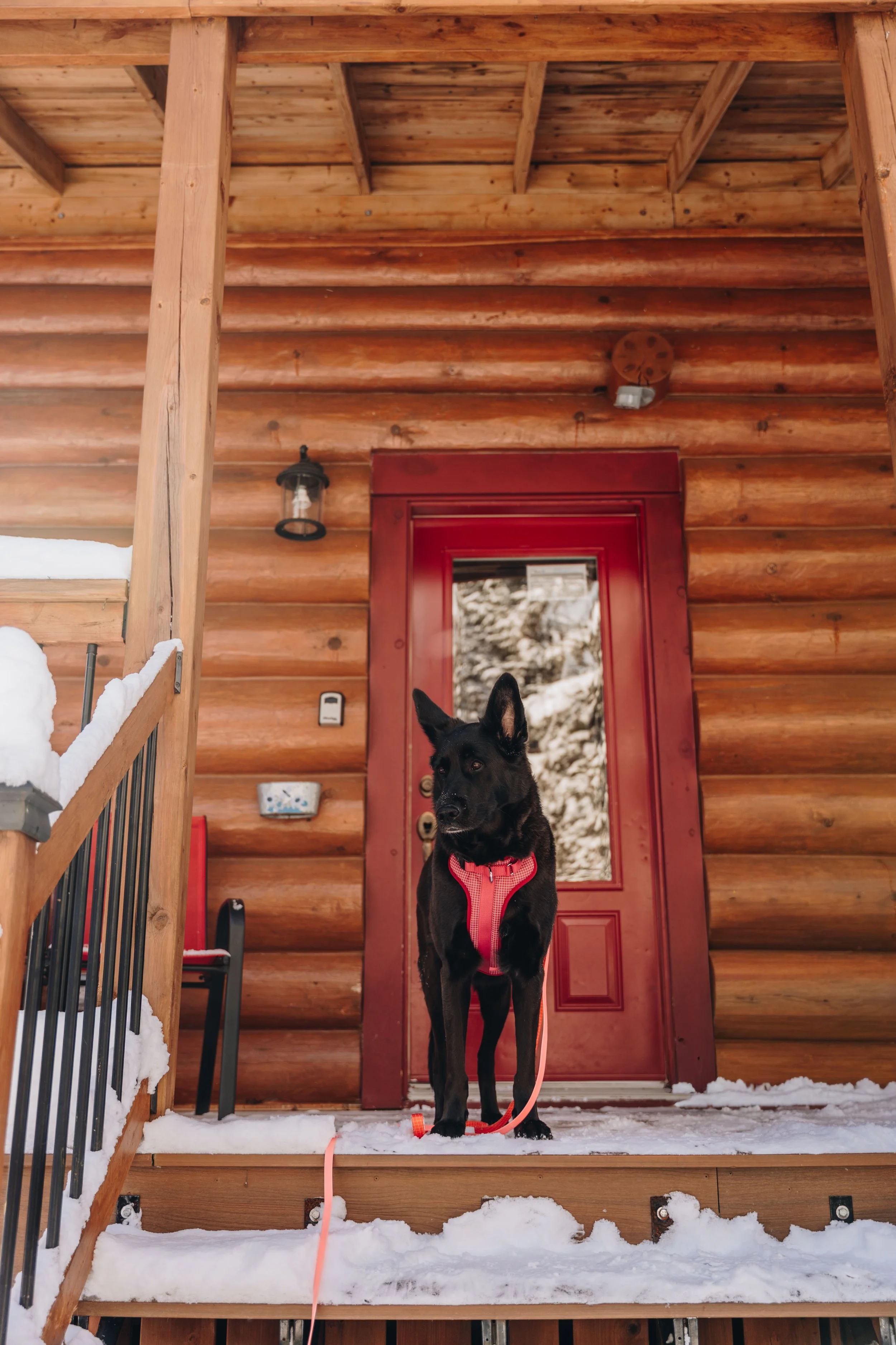 Au chalet en bois rond_onvasepromener 212.jpg