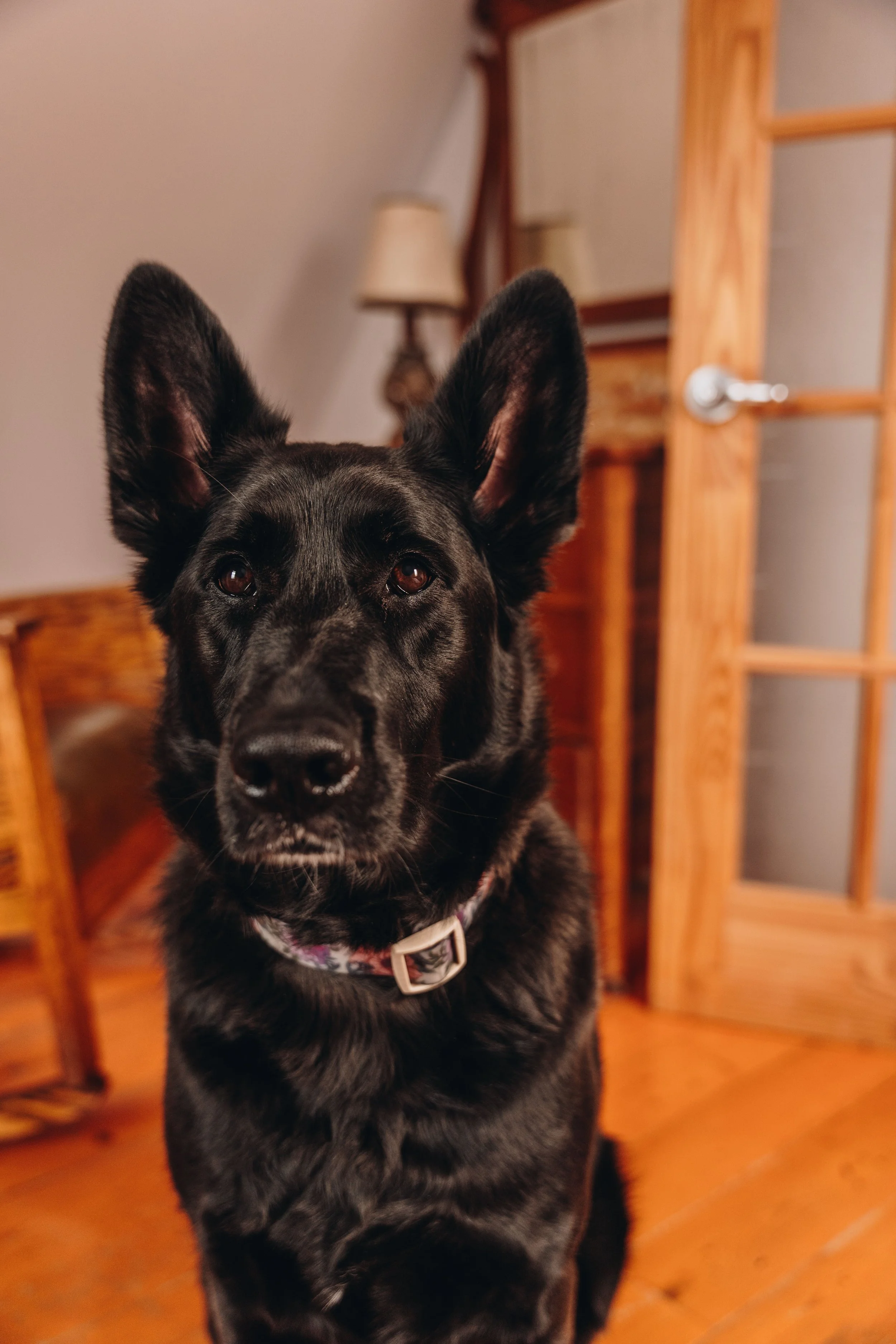 L'Épilobe_onvasepromener 54.jpg