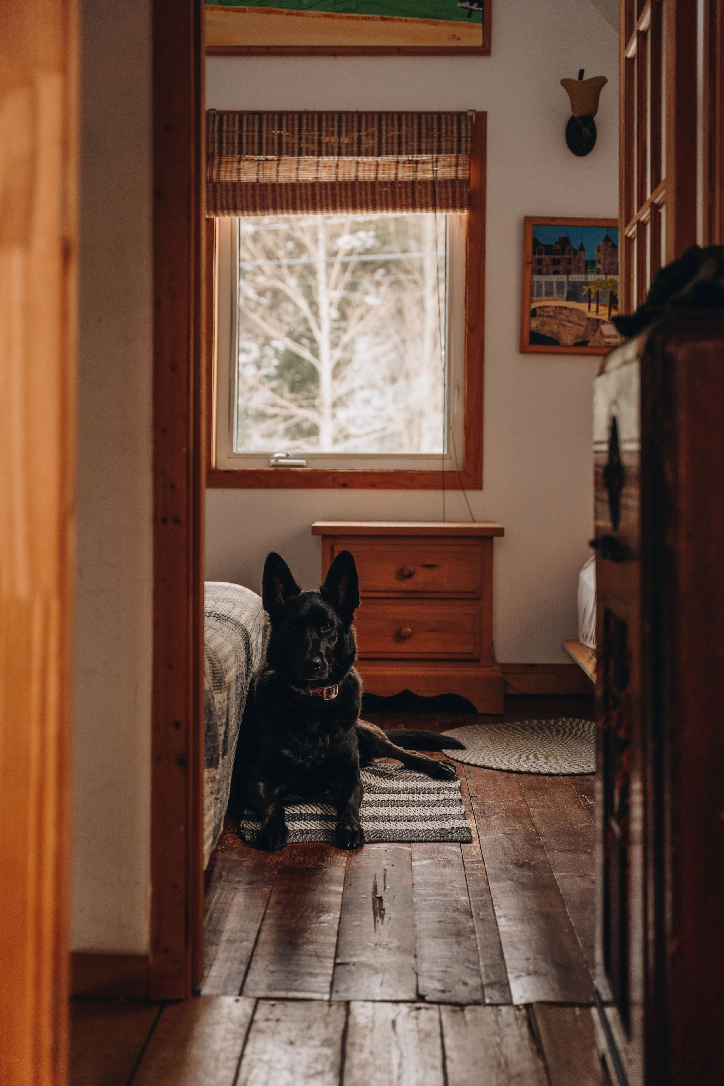 L'Épilobe_onvasepromener 49.jpg