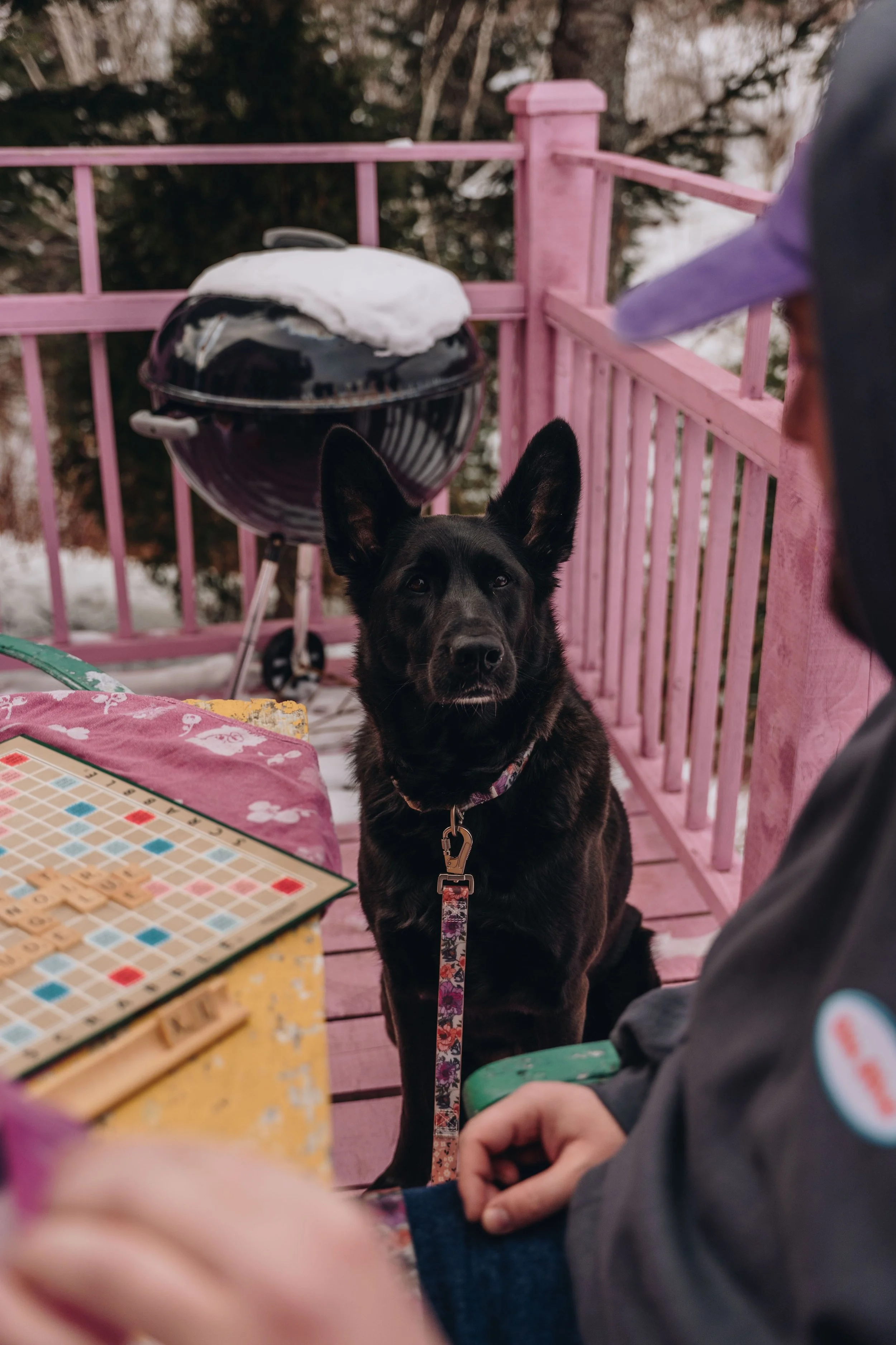 L'Épilobe_onvasepromener 148.jpg