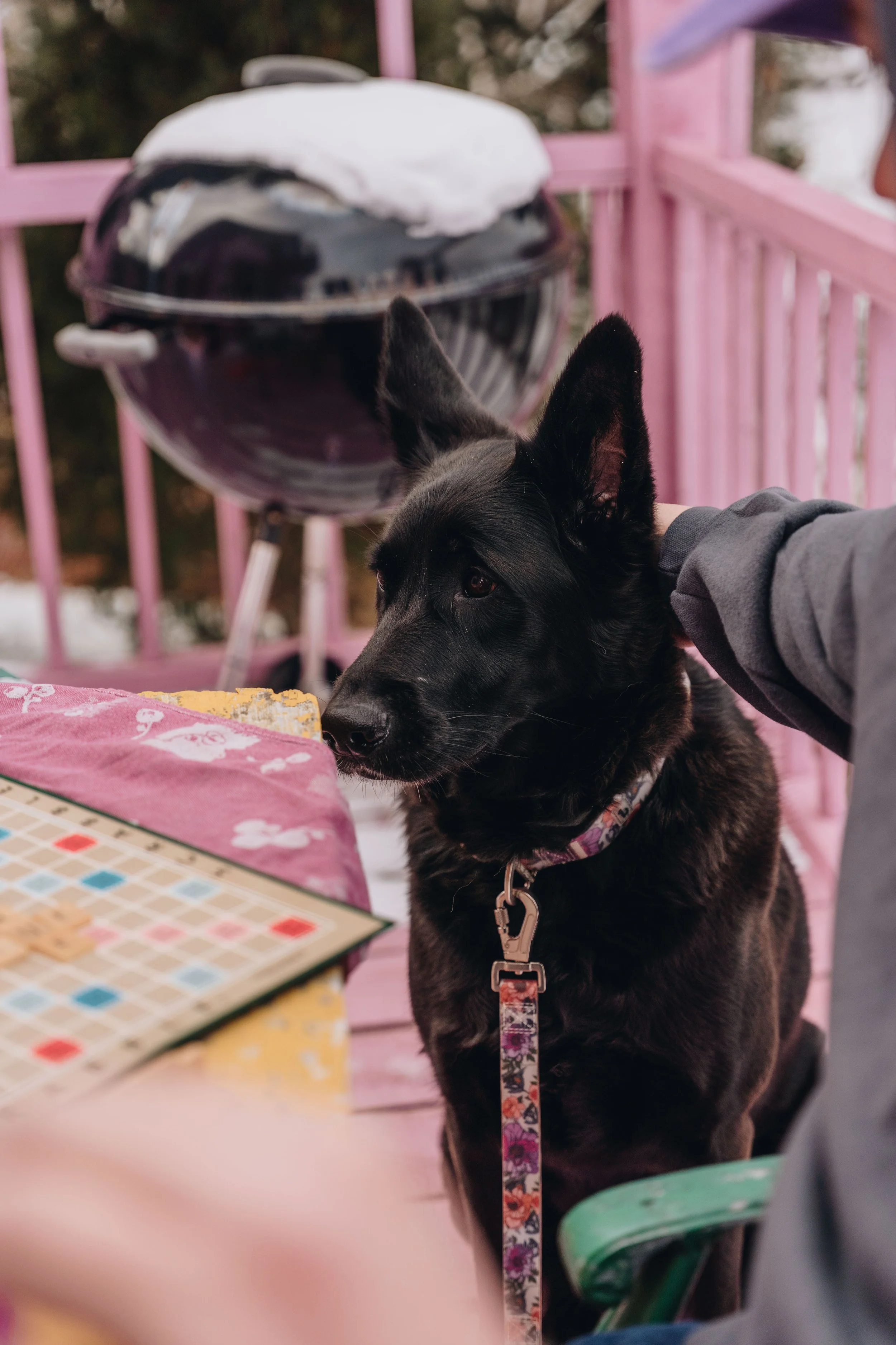 L'Épilobe_onvasepromener 149.jpg