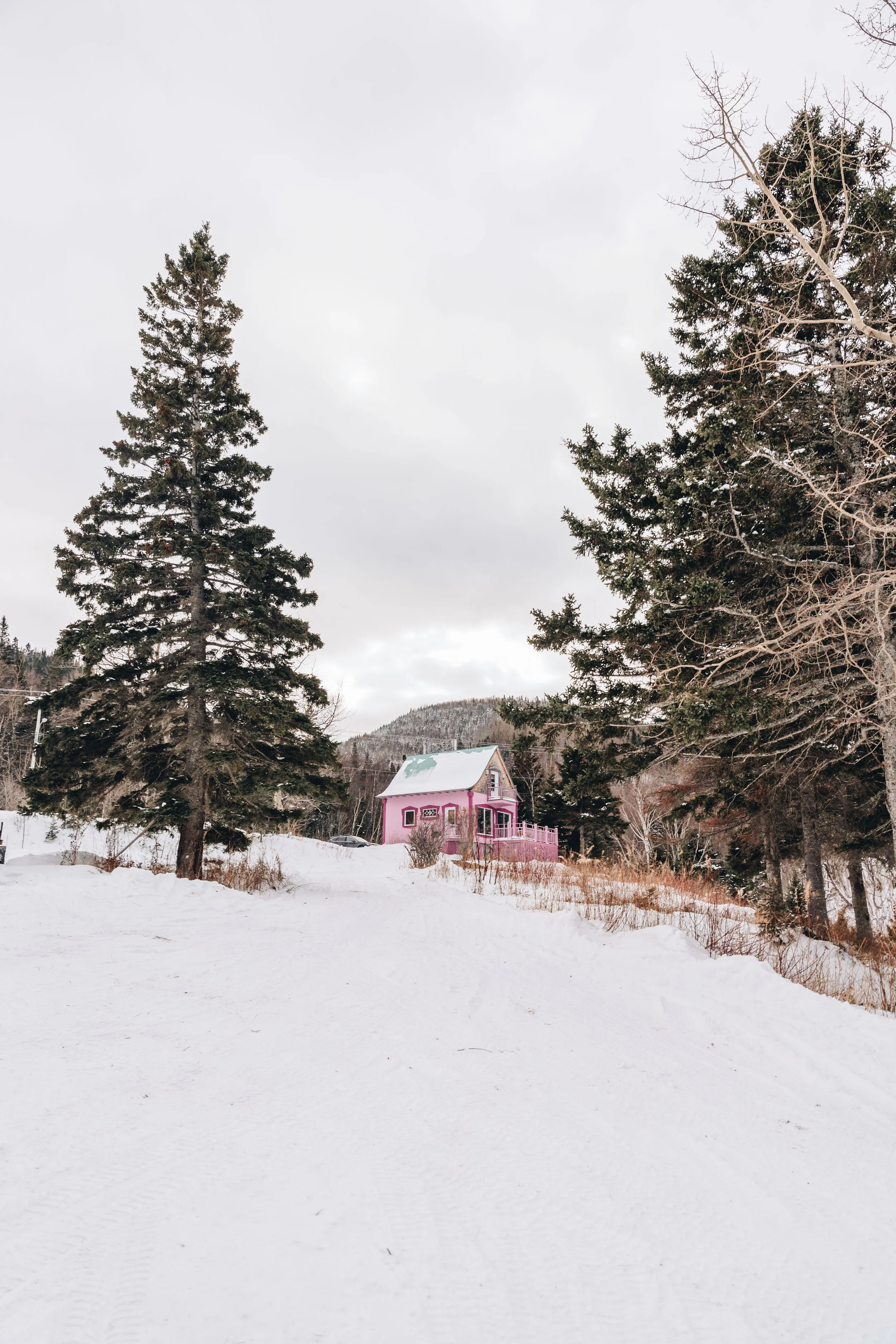 L'Épilobe_onvasepromener 206.jpg