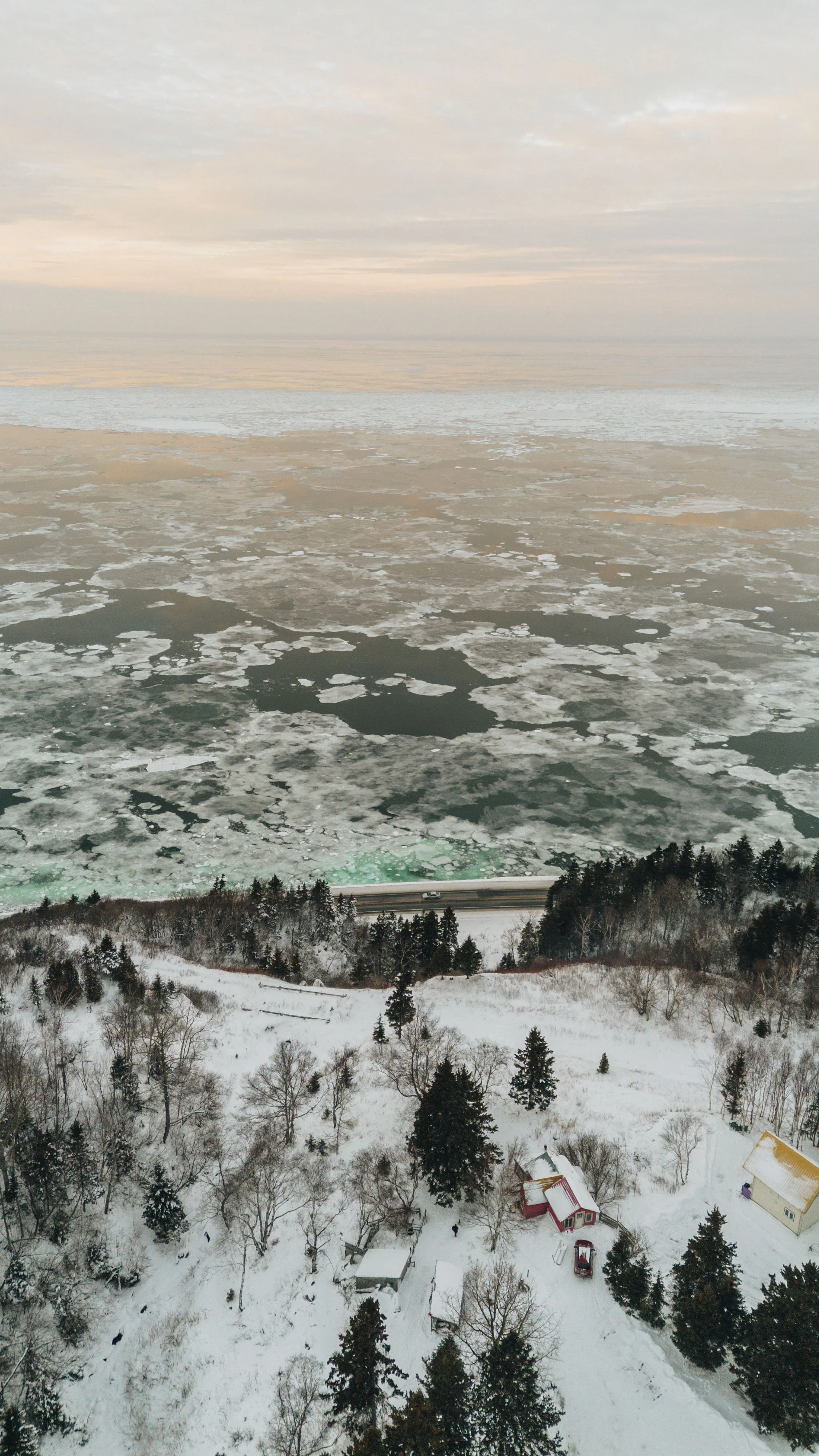 L'Épilobe_onvasepromener 2.jpg