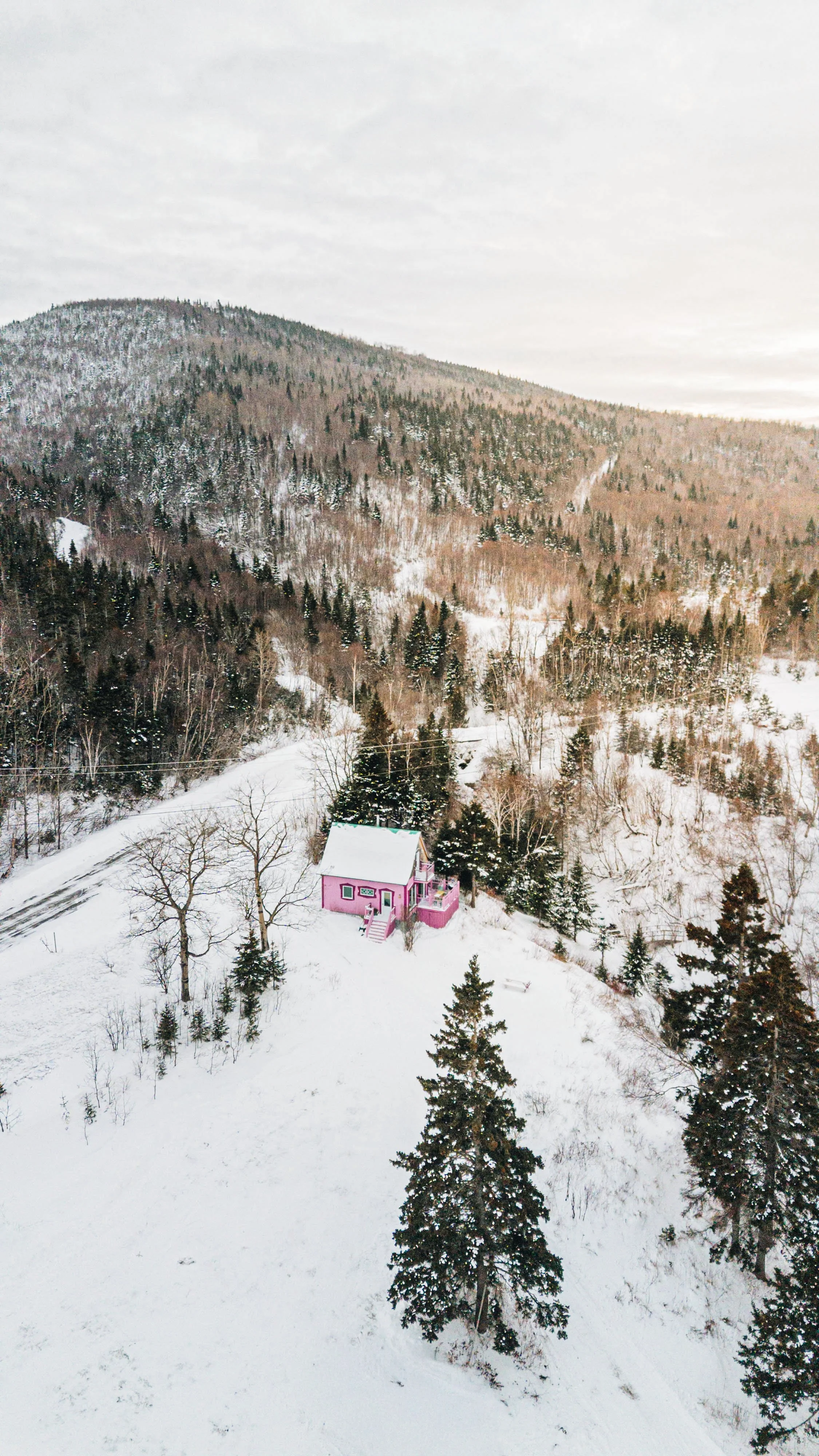 L'Épilobe_onvasepromener 13.jpg