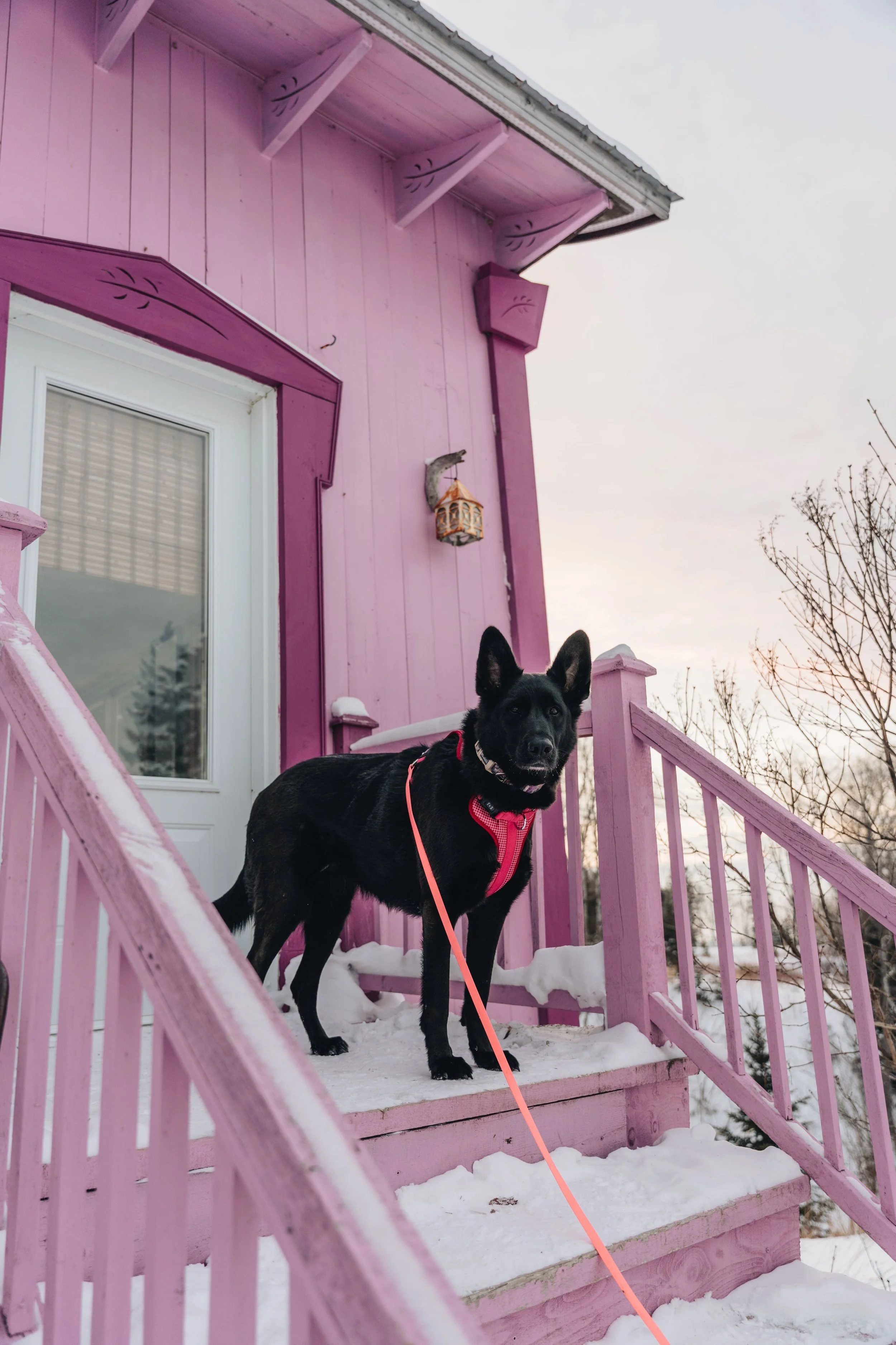 L'Épilobe_onvasepromener 30.jpg