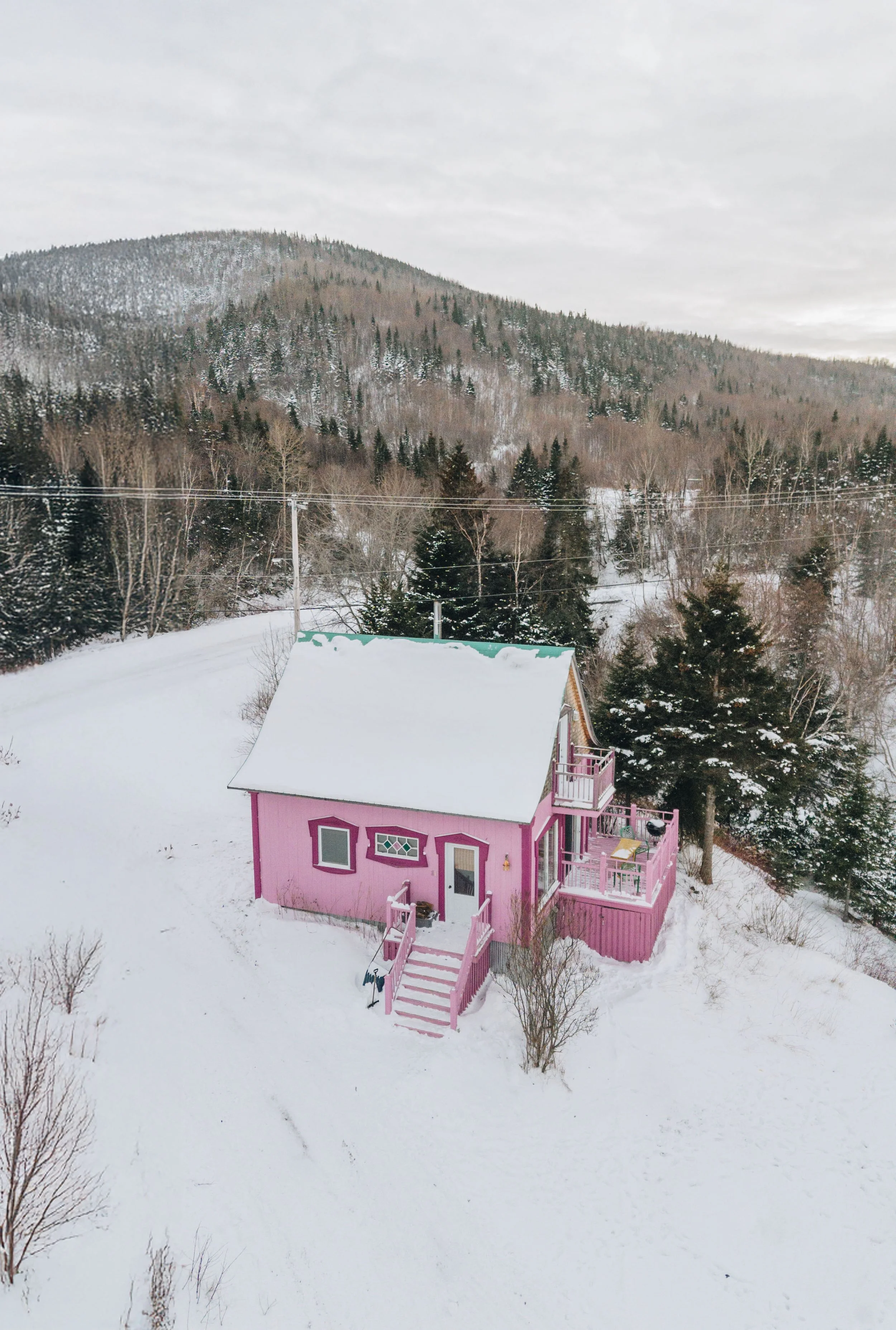 L'Épilobe_onvasepromener 16.jpg