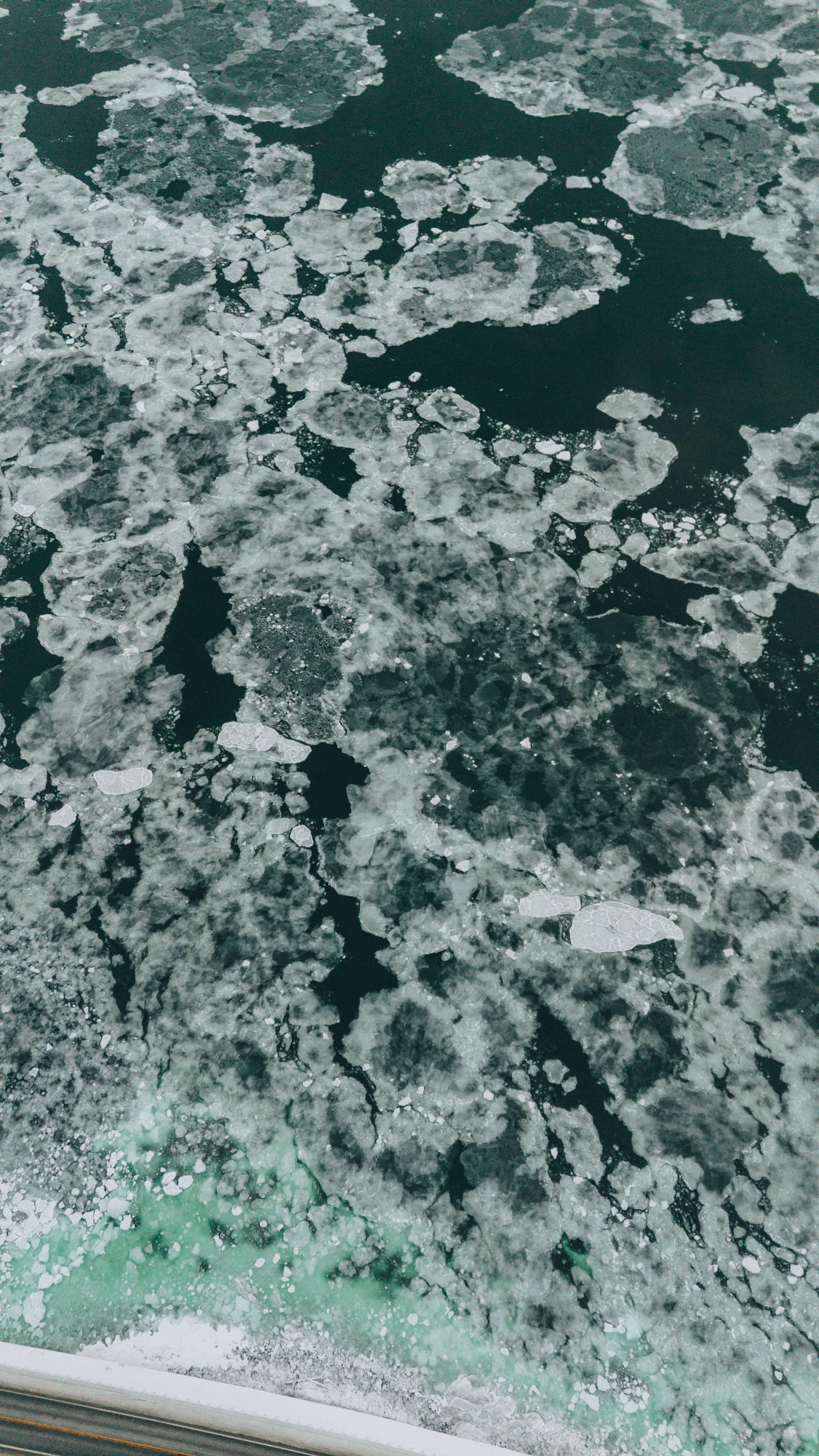 L'Épilobe_onvasepromener 3.jpg