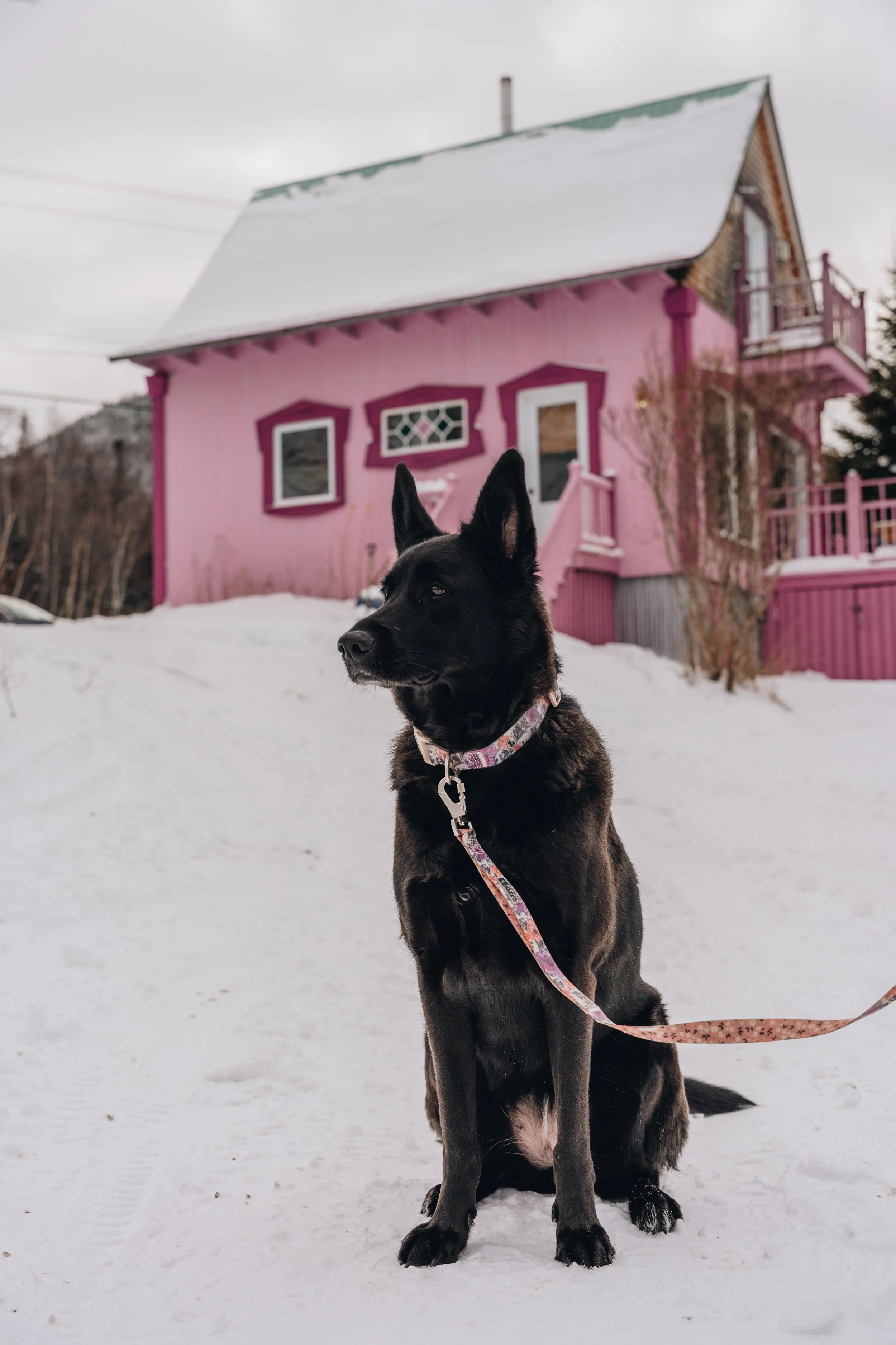 L'Épilobe_onvasepromener 196.jpg