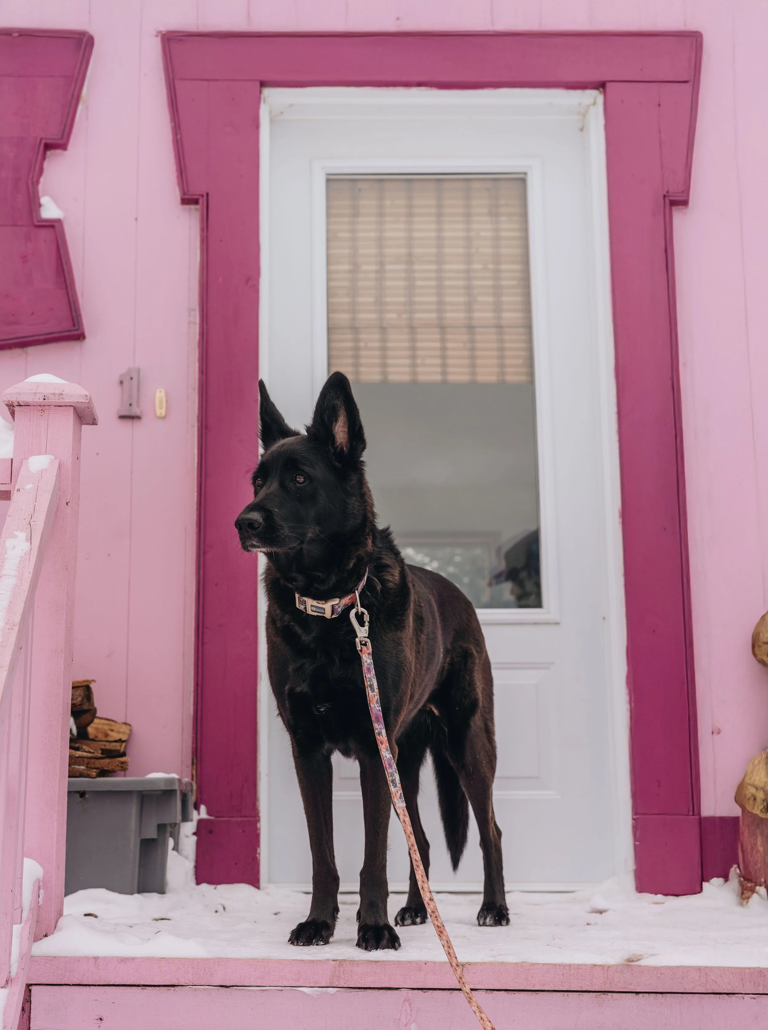 L'Épilobe_onvasepromener 198.jpg