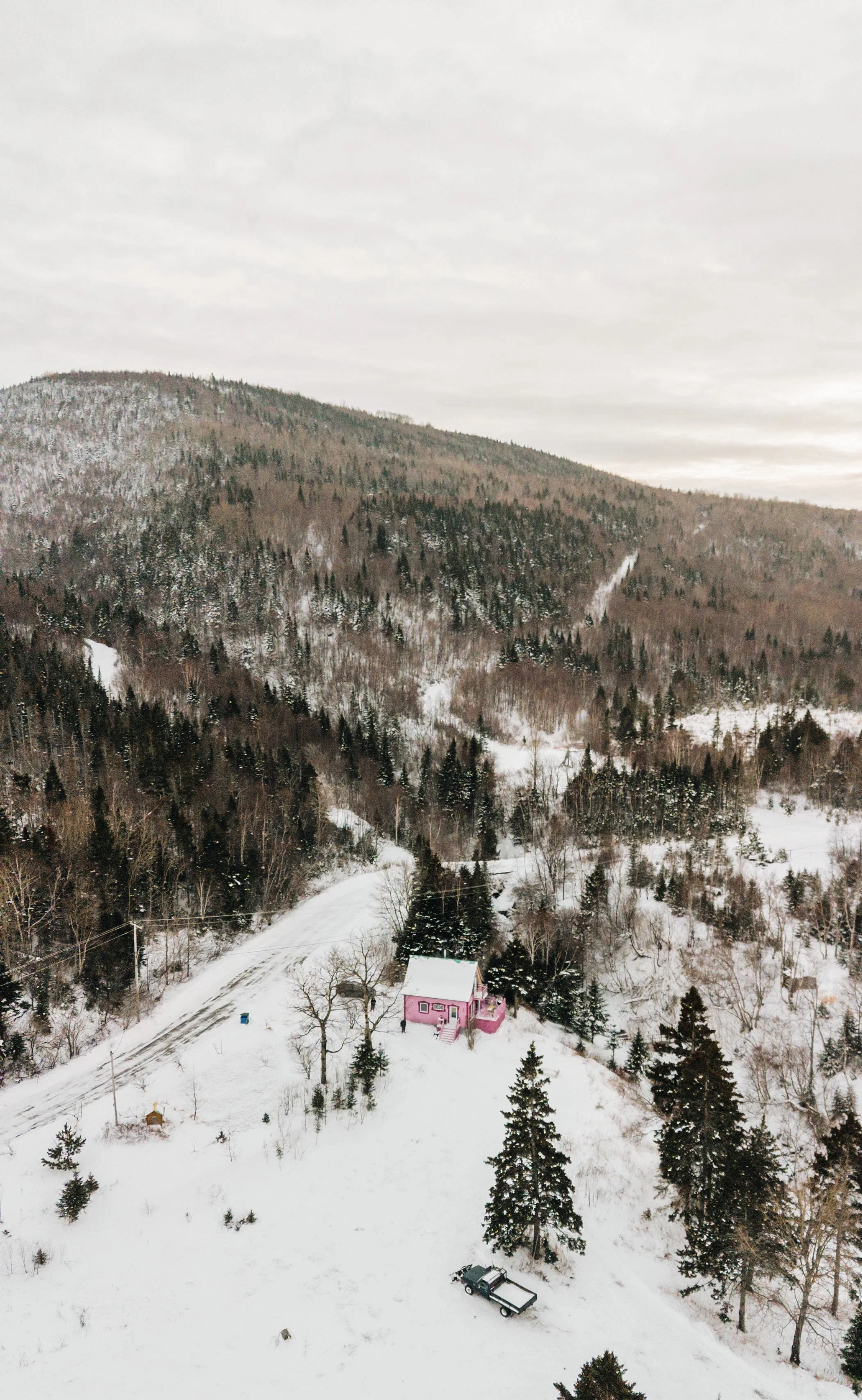 L'Épilobe_onvasepromener 15.jpg
