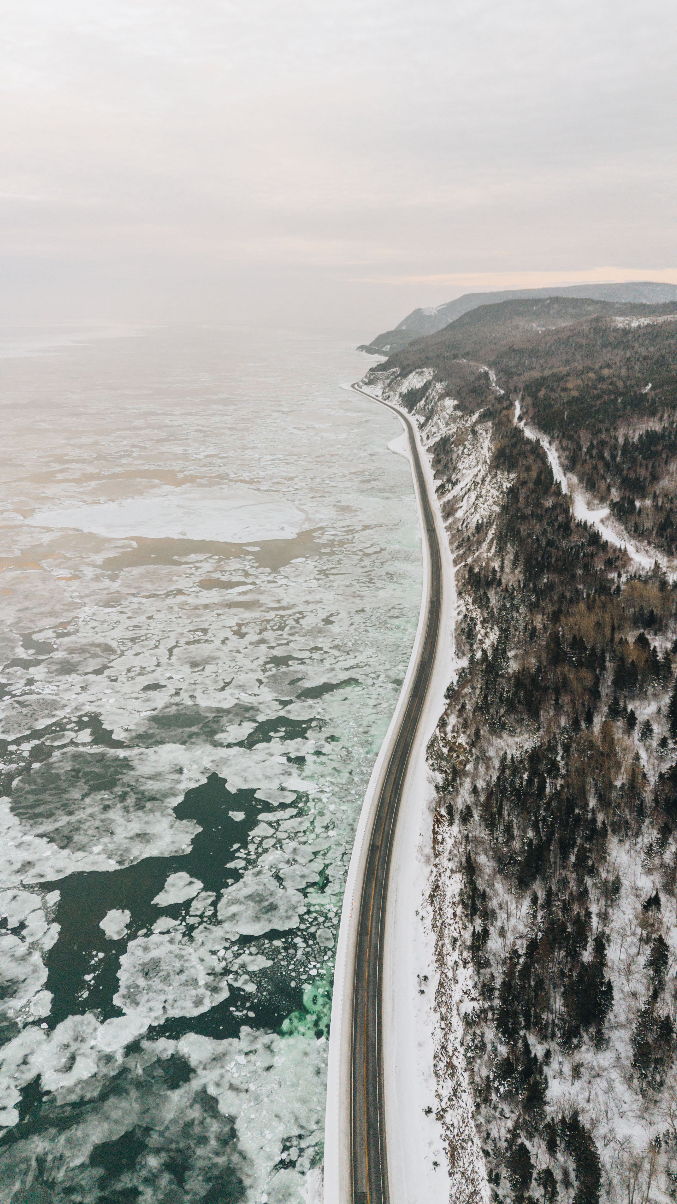 L'Épilobe_onvasepromener 7.jpg