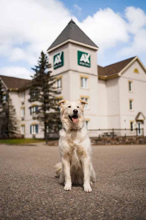 [Laurentides, Mont-Tremblant] AX Hôtel Mont-Tremblant