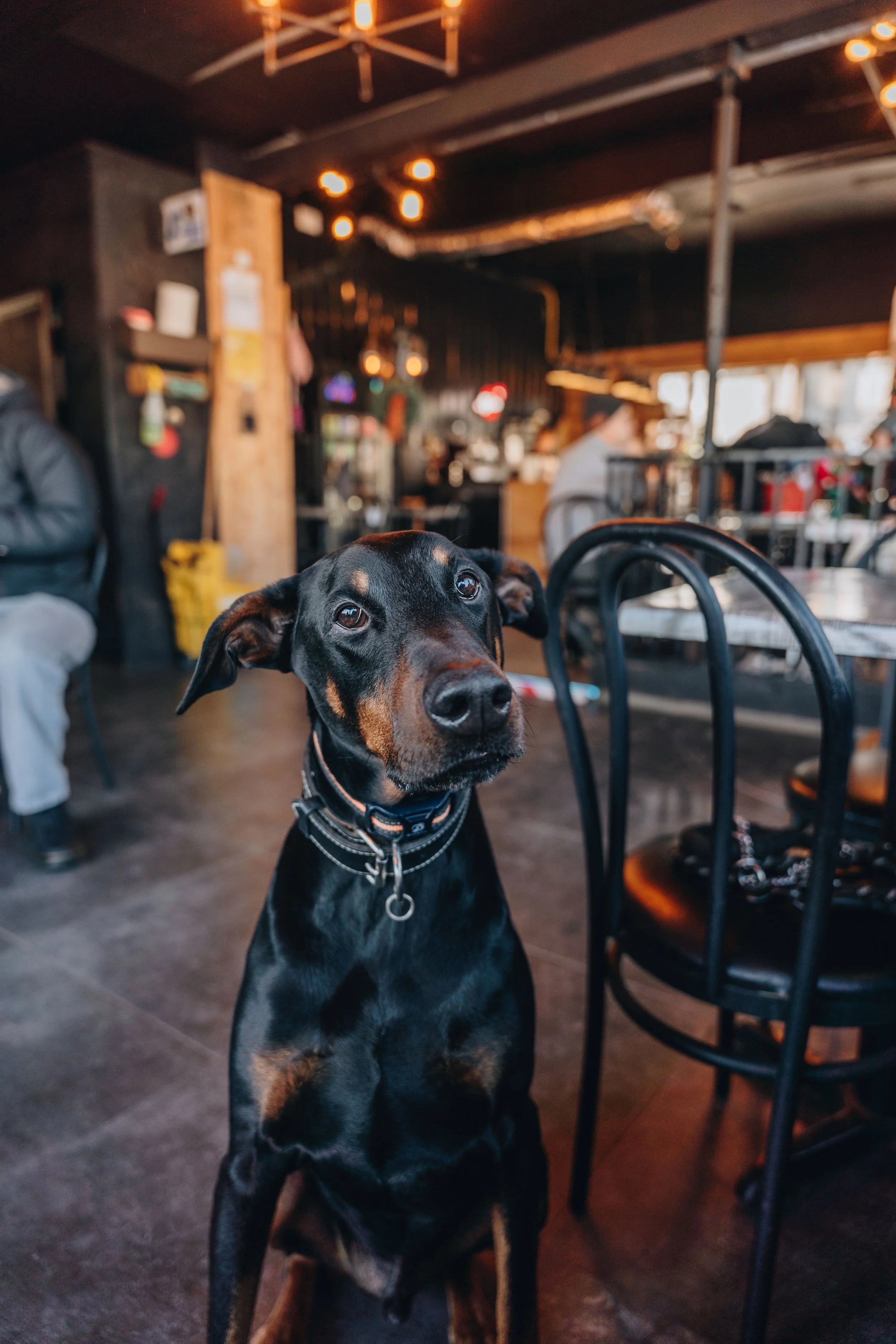 arthur café 12.jpg