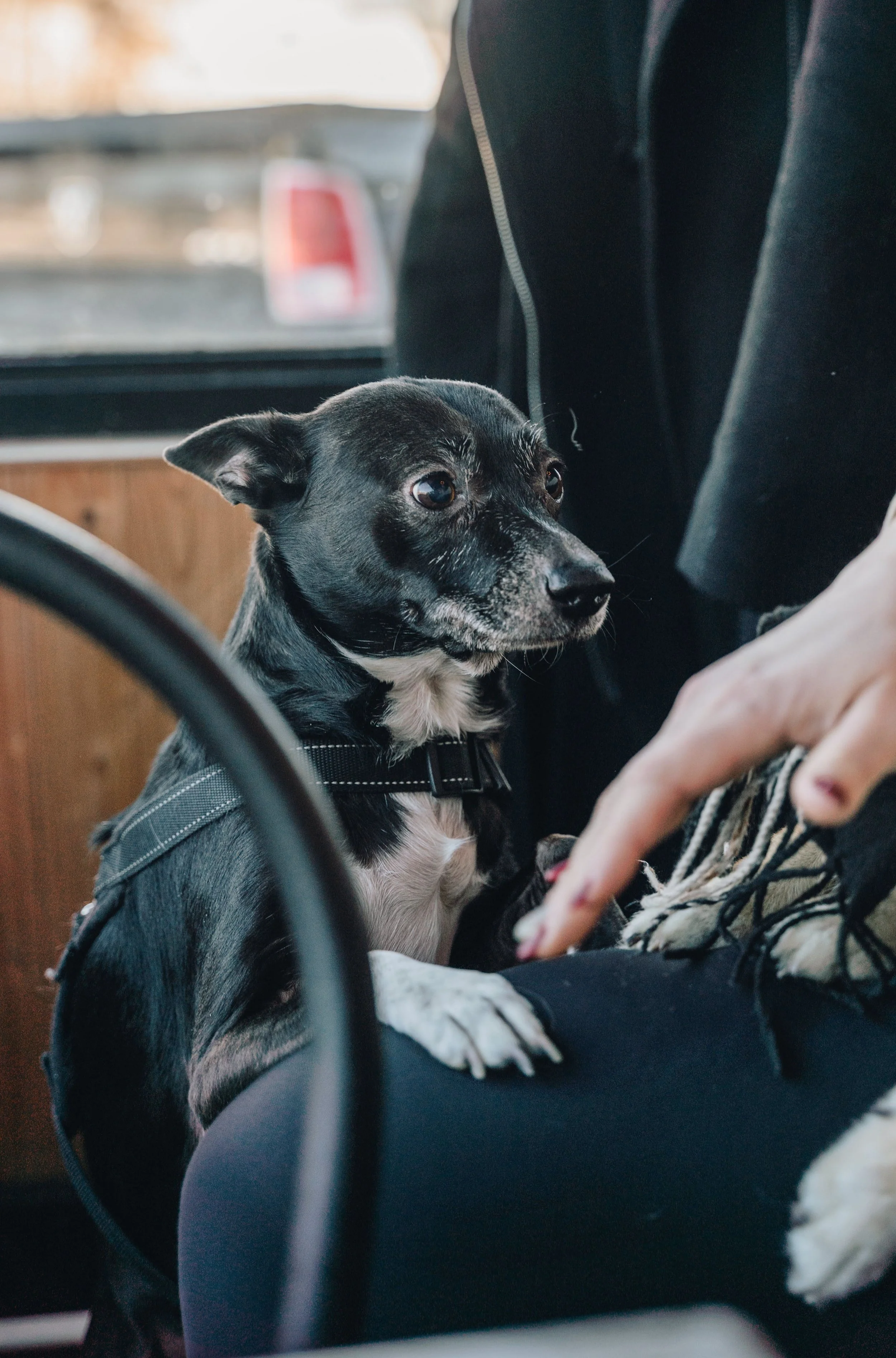 arthur café 10.jpg