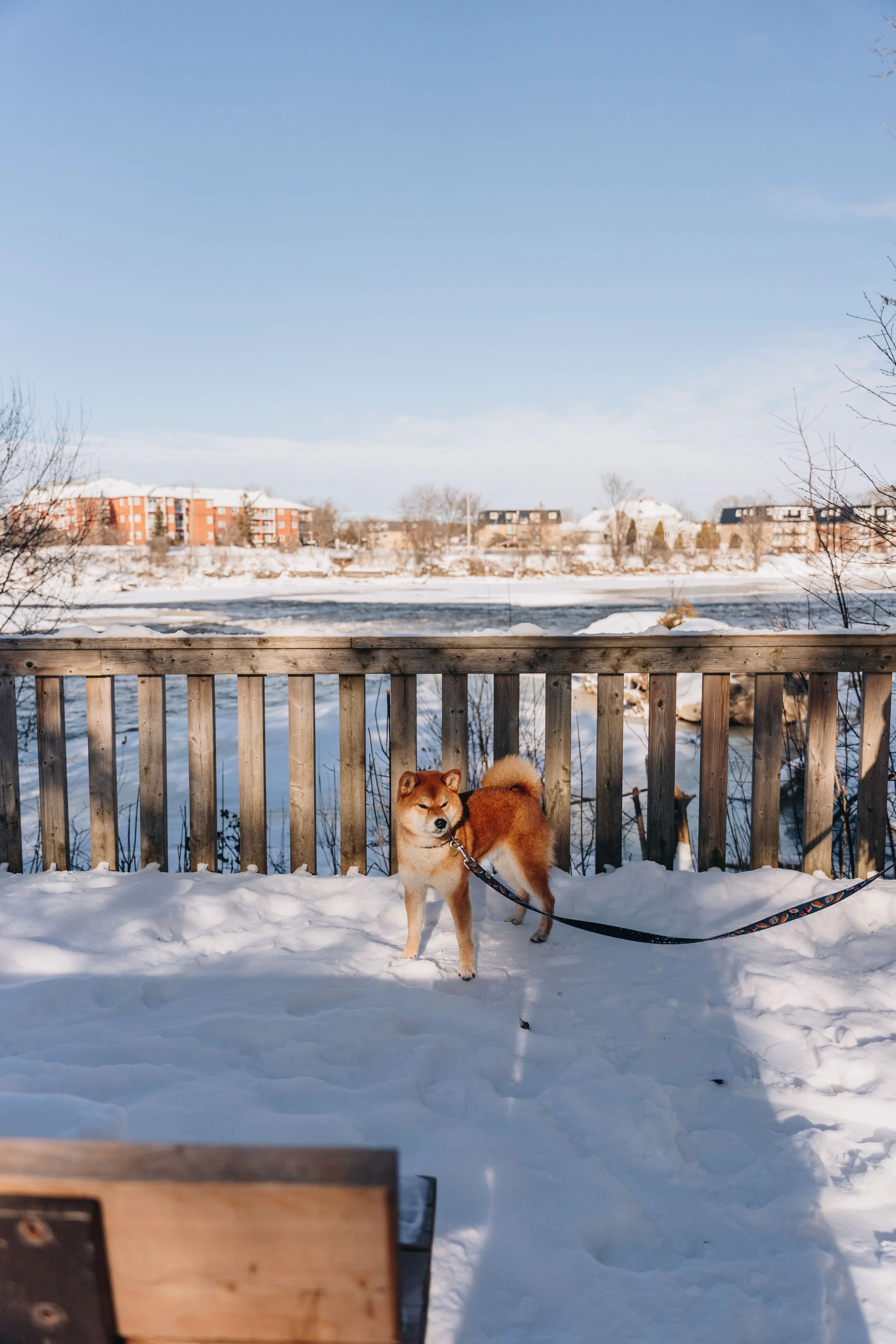[Laval, Saint-François] Berge du Pêcheur 