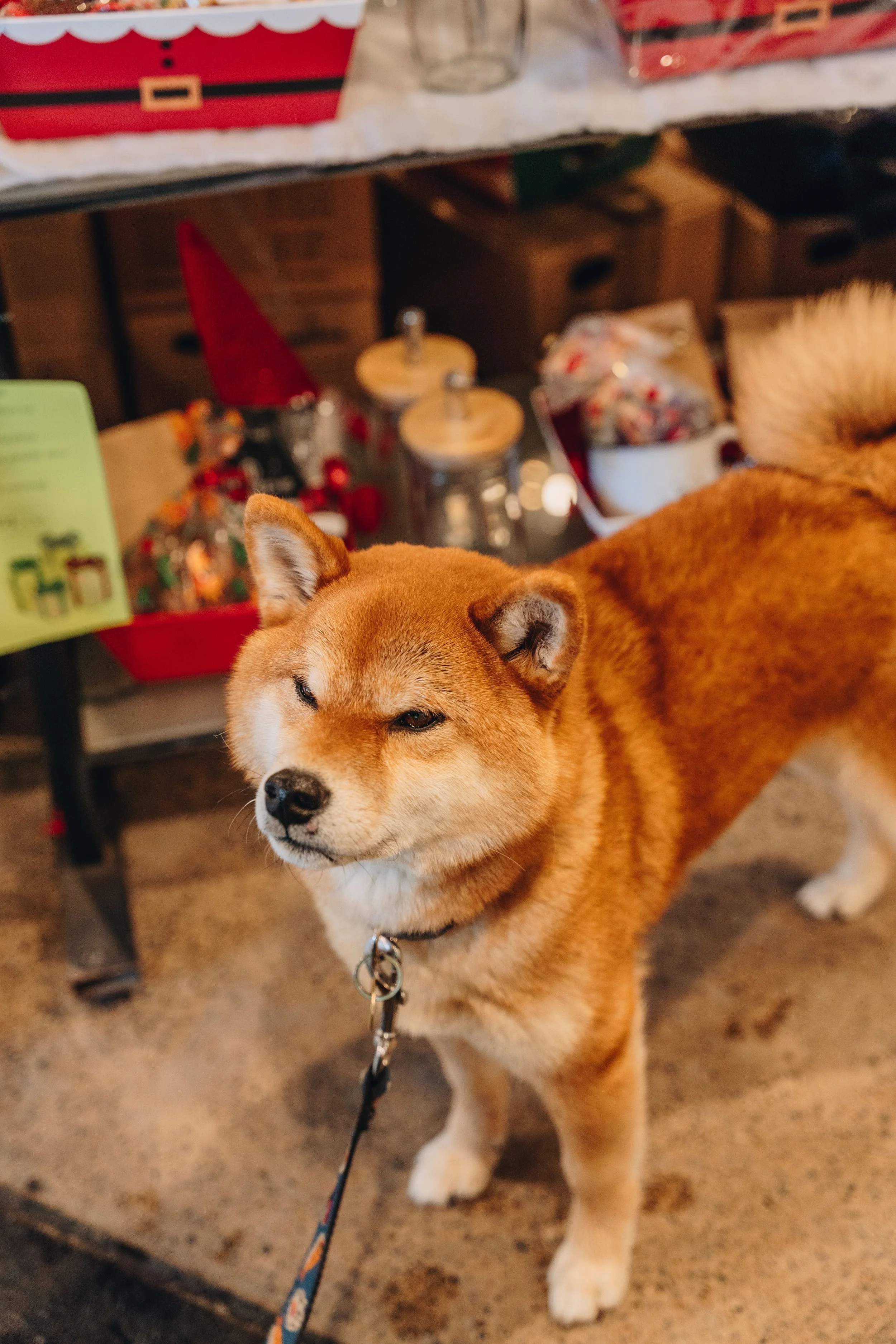 café du monde 4.jpg