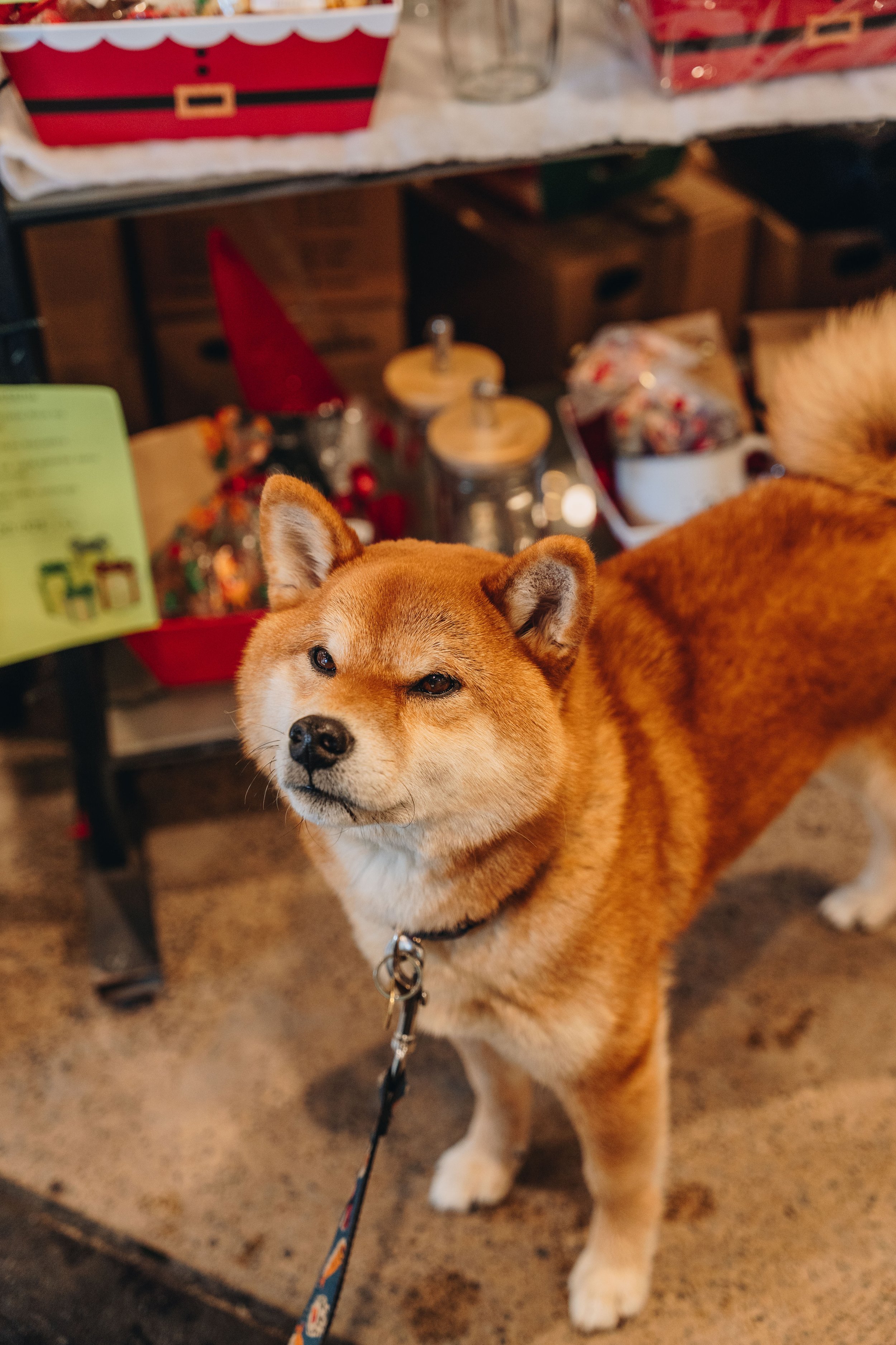 [Lanaudière, Terrebonne] Café Monde Inc