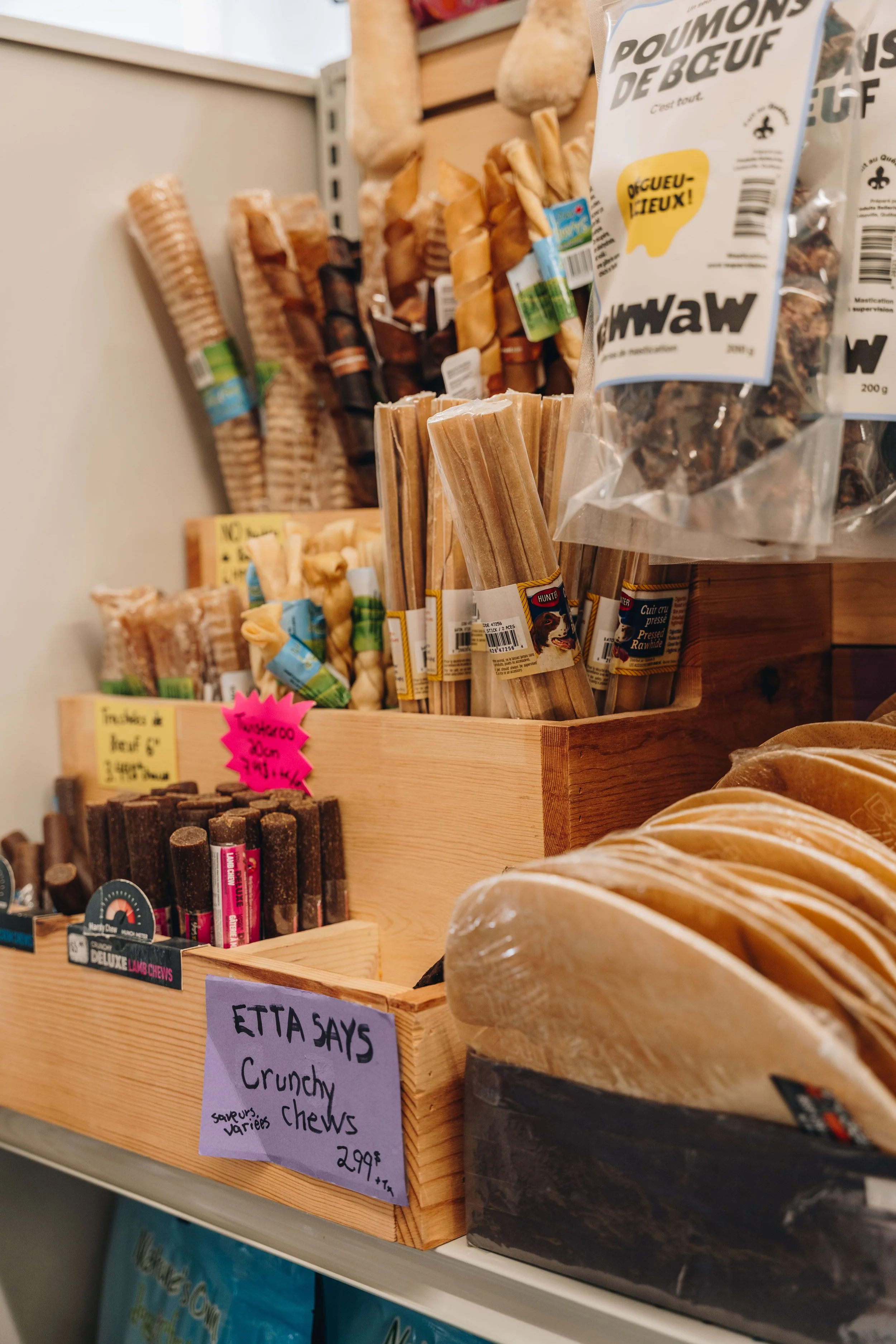 nature animal 10.jpg