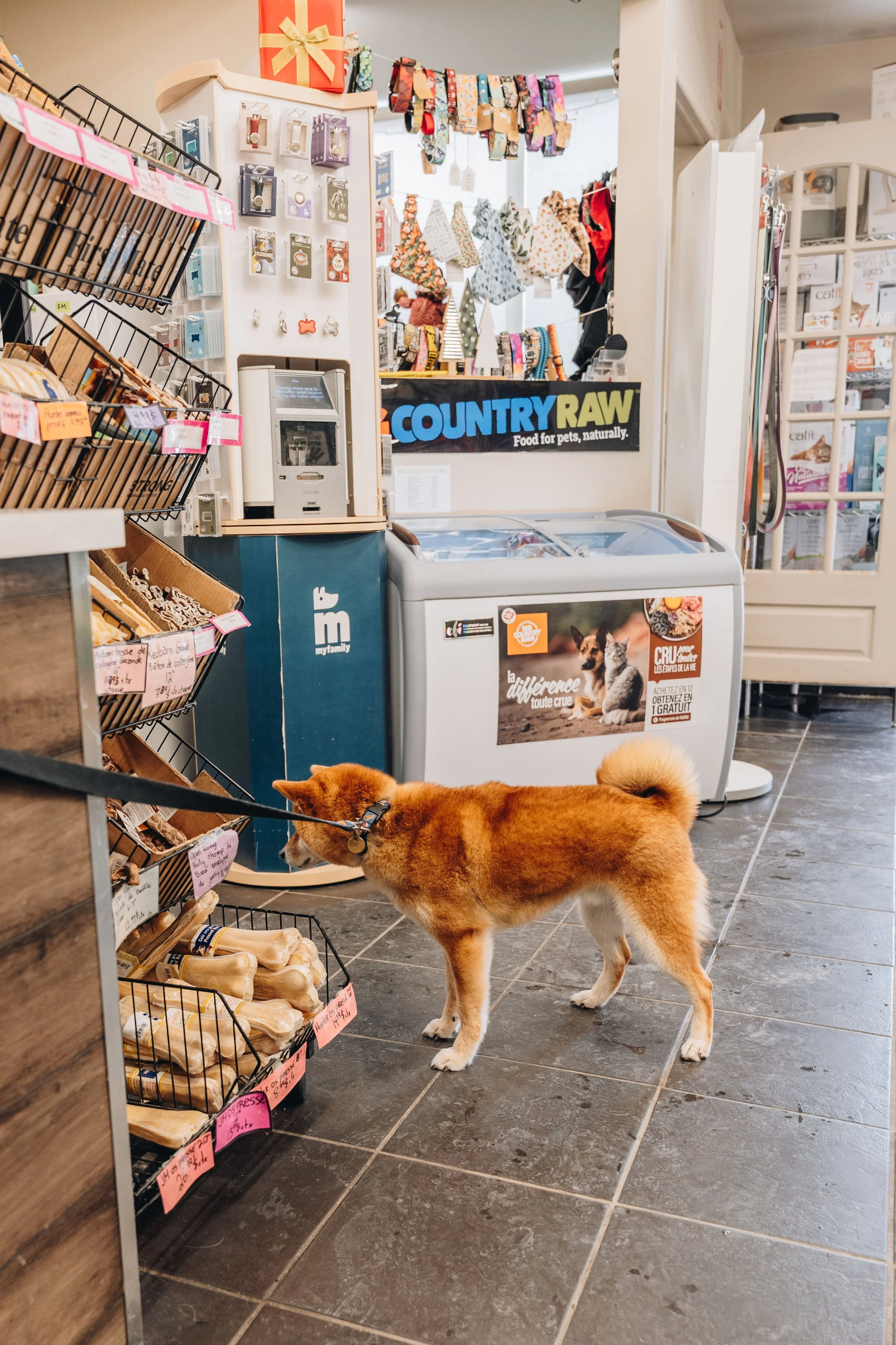 nature animal 11.jpg