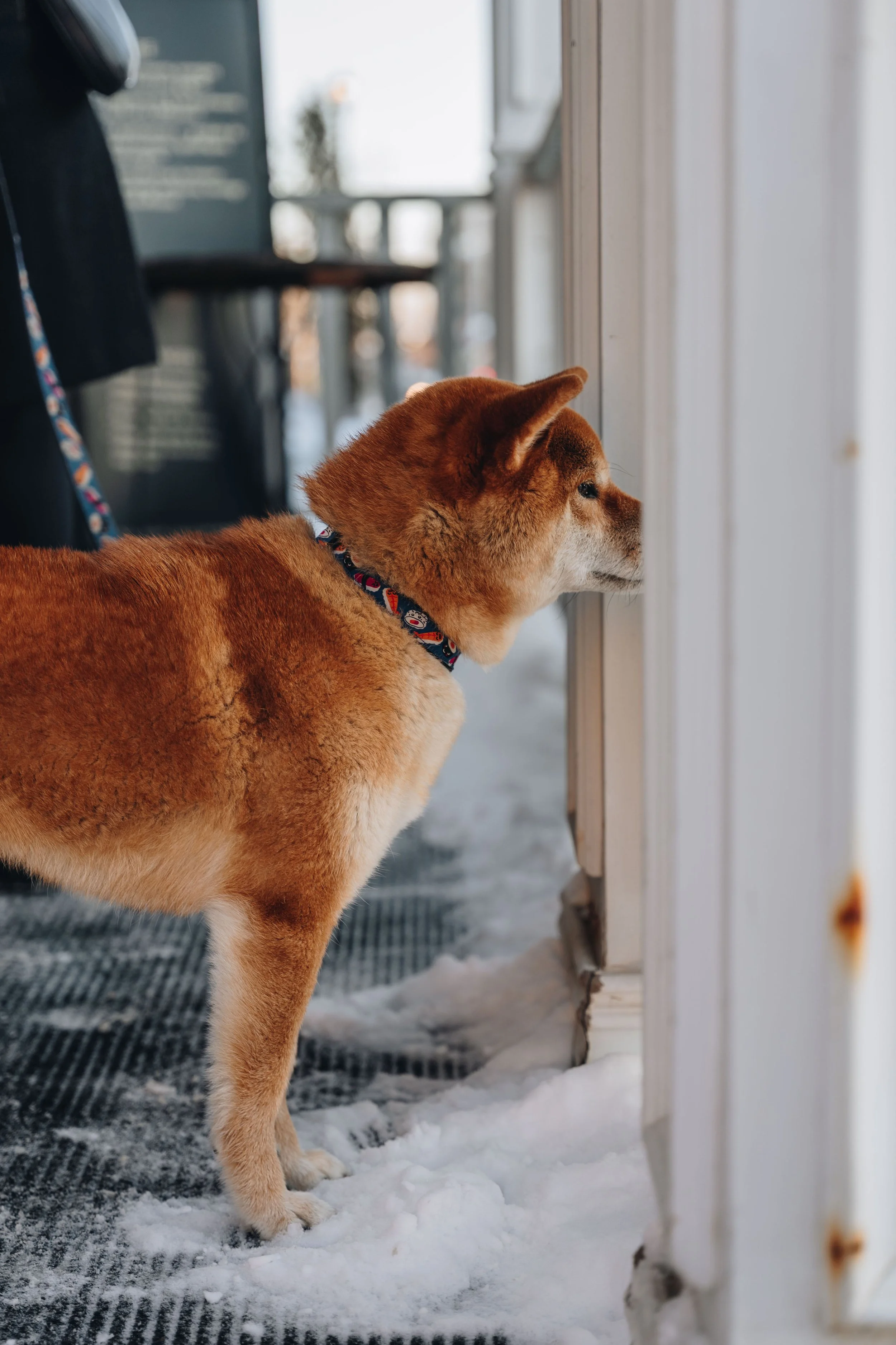 maison jacynthe 23.jpg