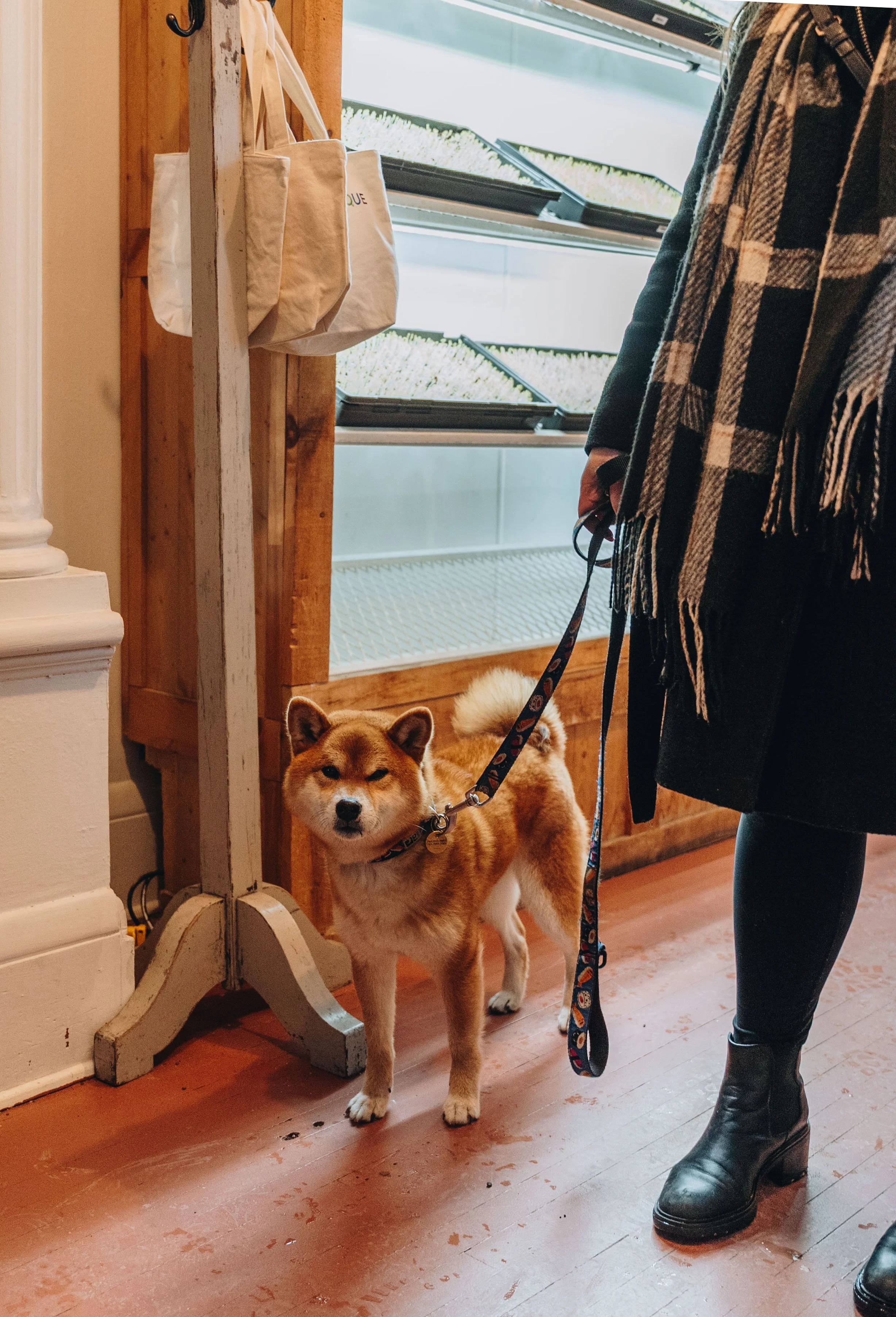 maison jacynthe 10.jpg