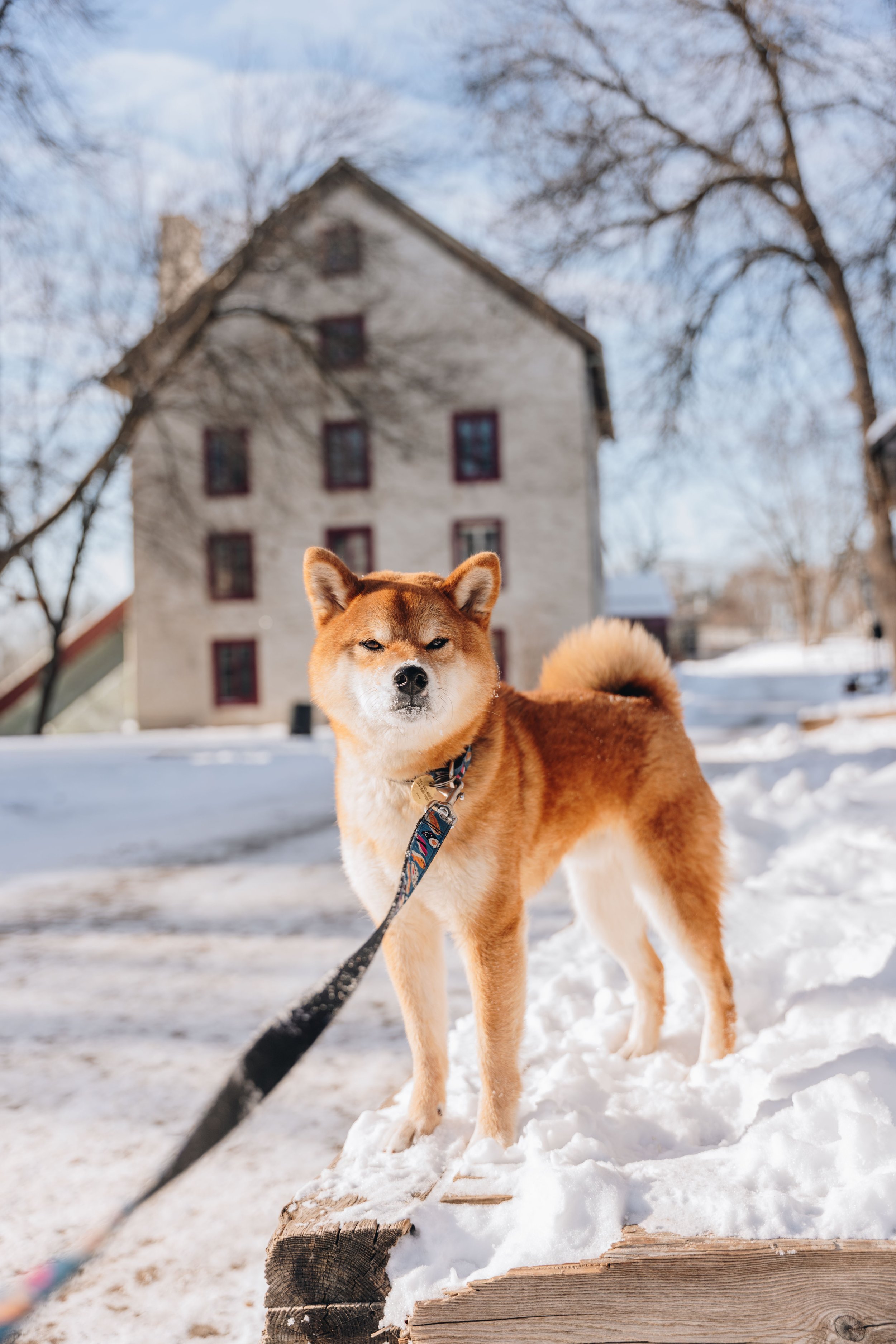 Ile des moulins 15.jpg