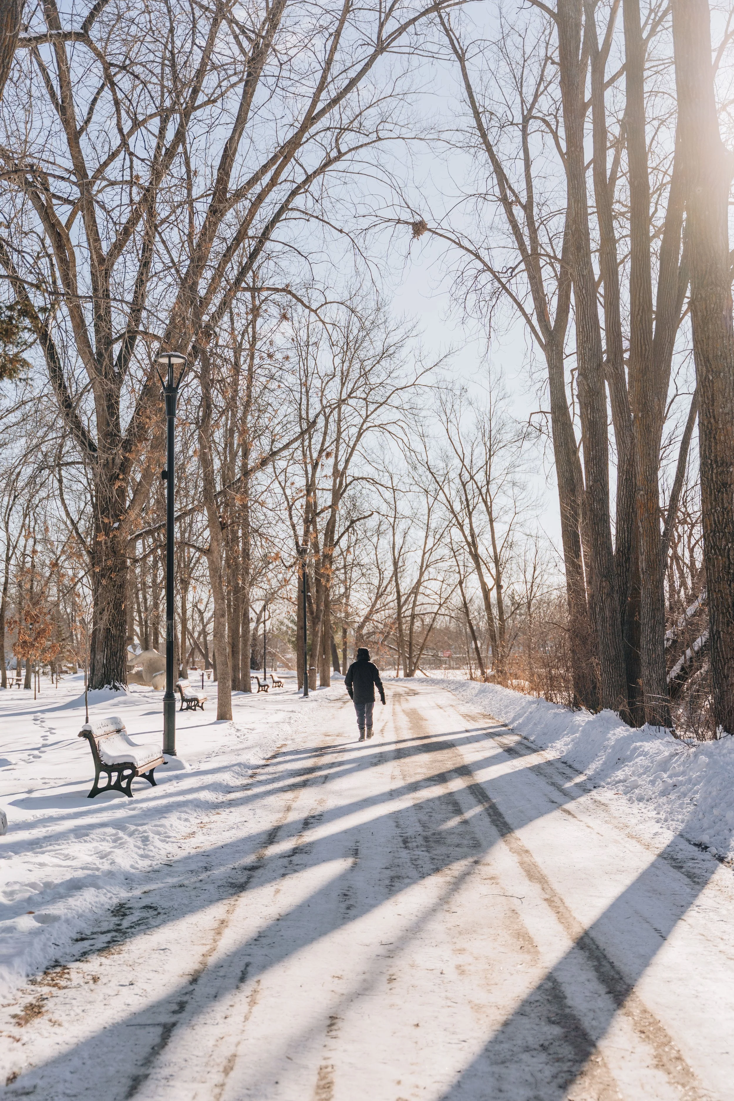 Ile des moulins 63.jpg
