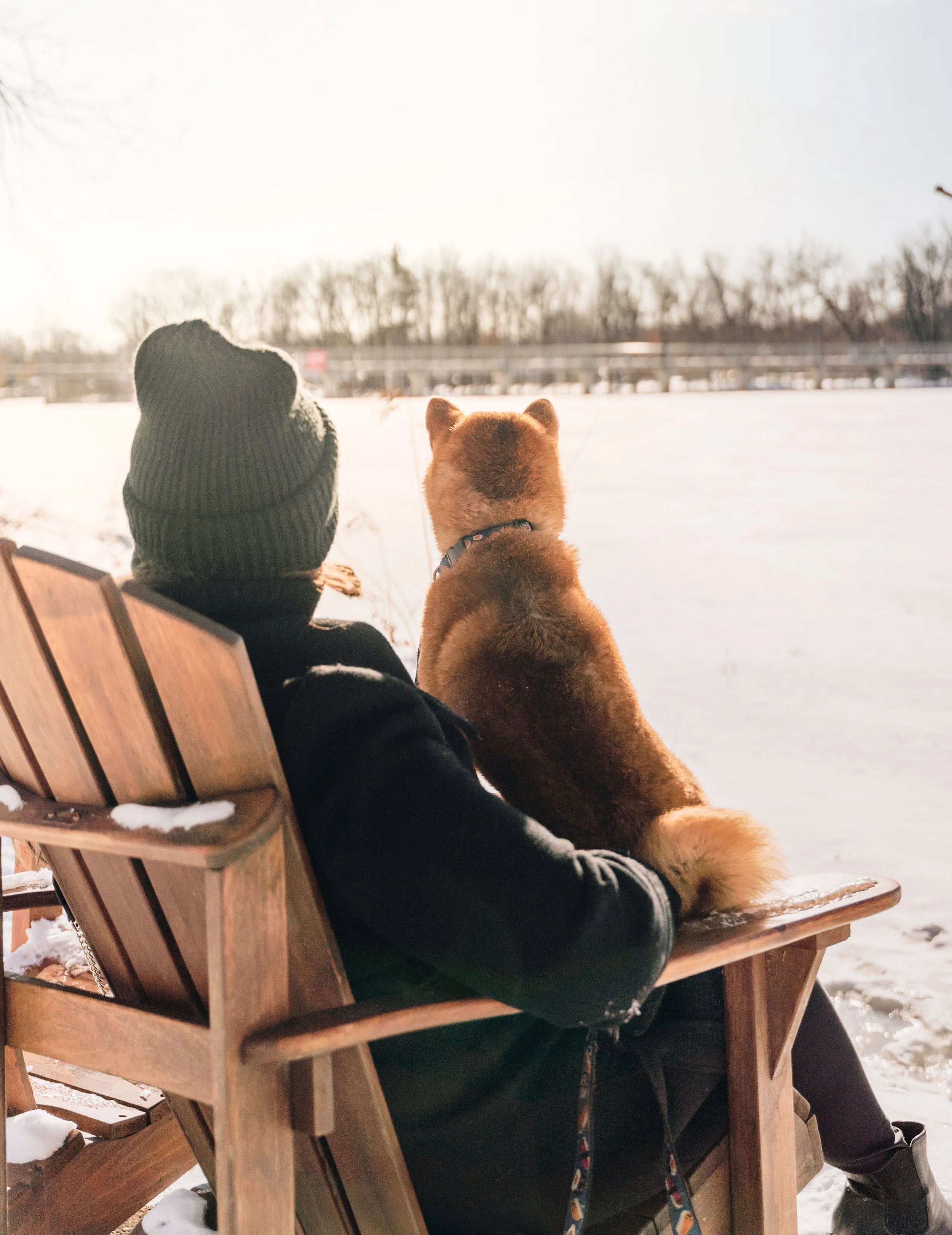 Ile des moulins 55.jpg