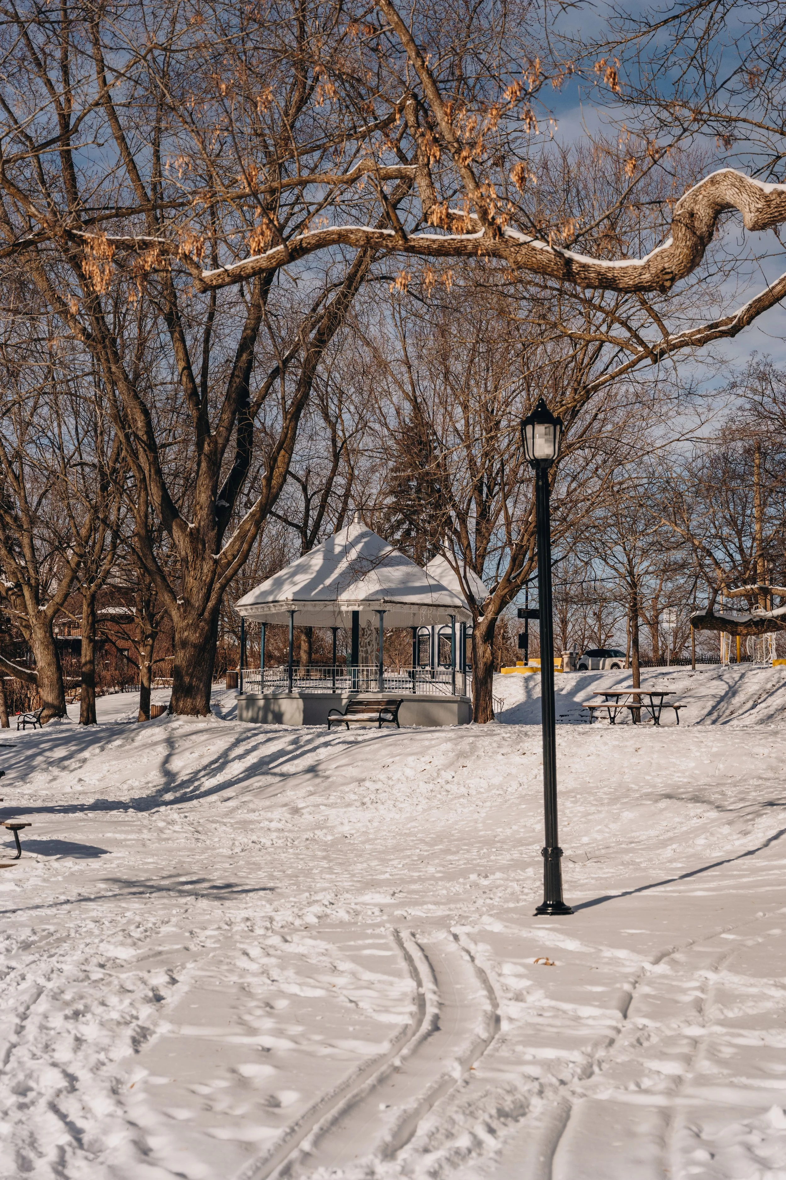 Ile des moulins 67.jpg