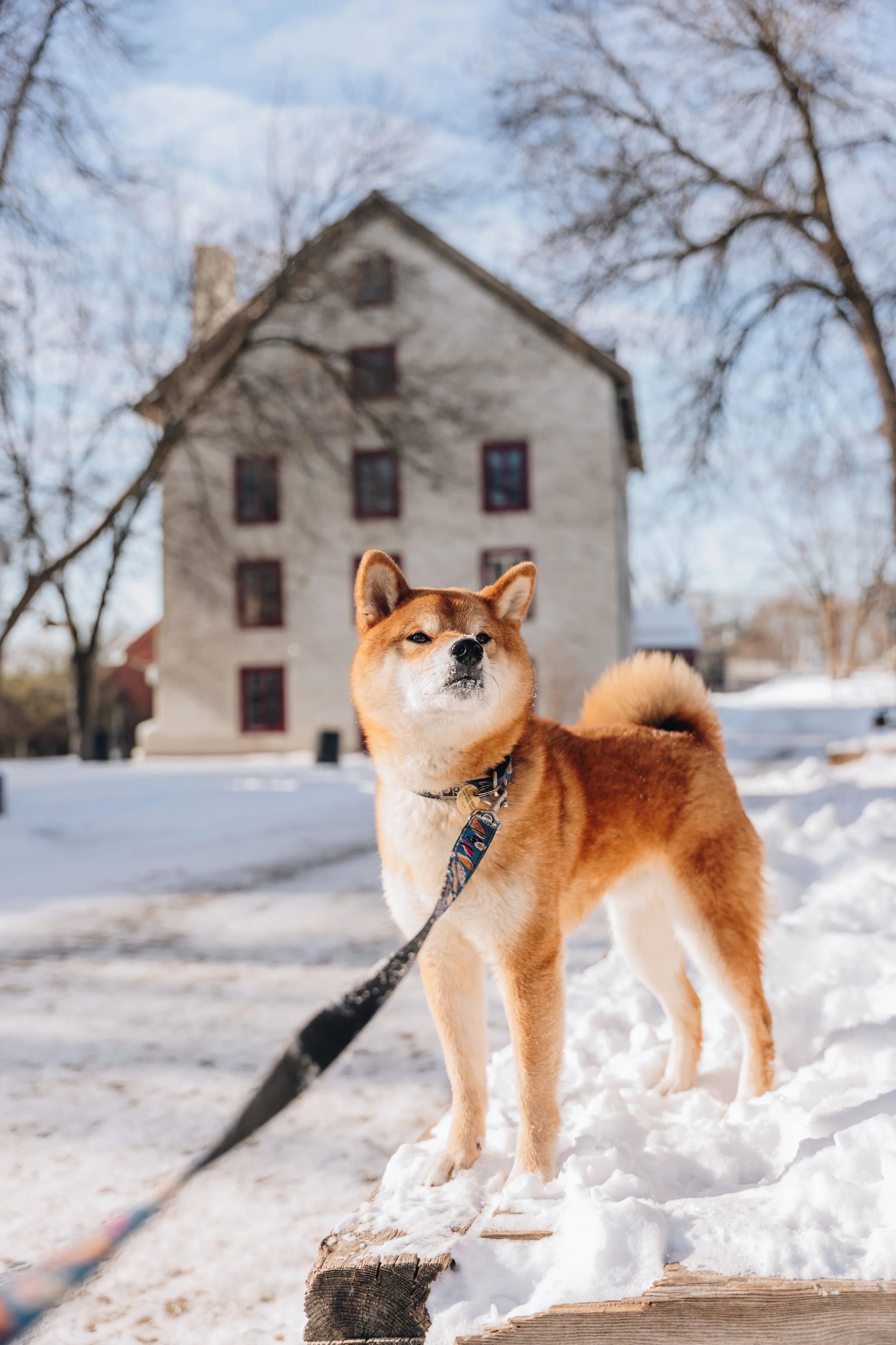 Ile des moulins 11.jpg