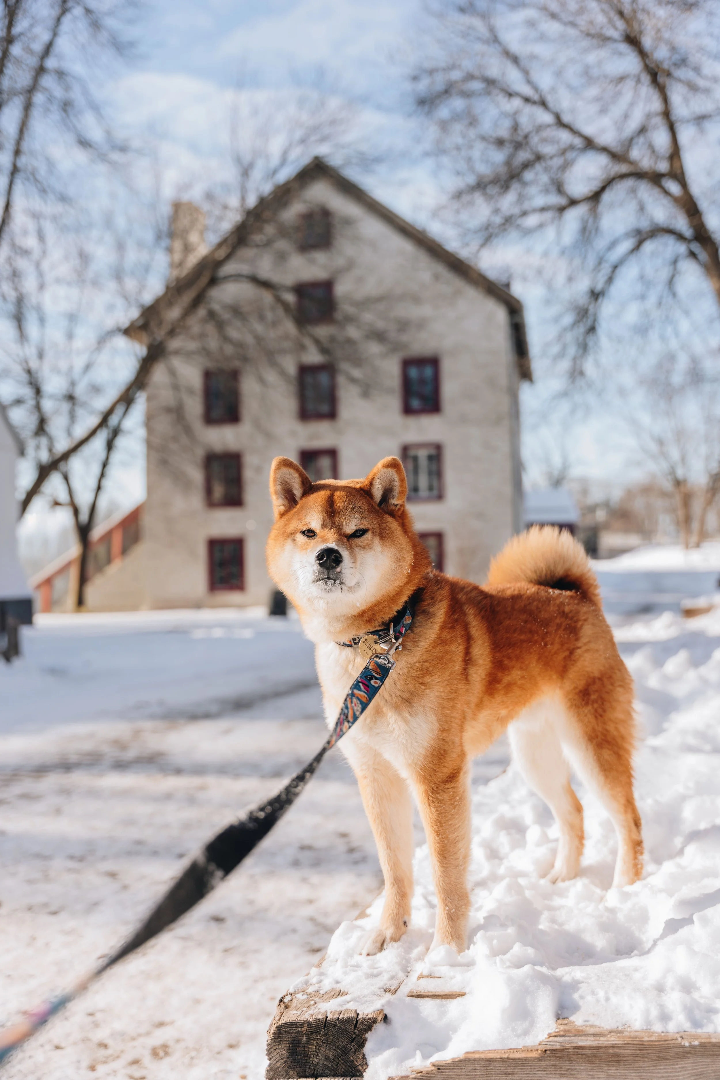 [Lanaudière, Terrebonne] Île-des-Moulins