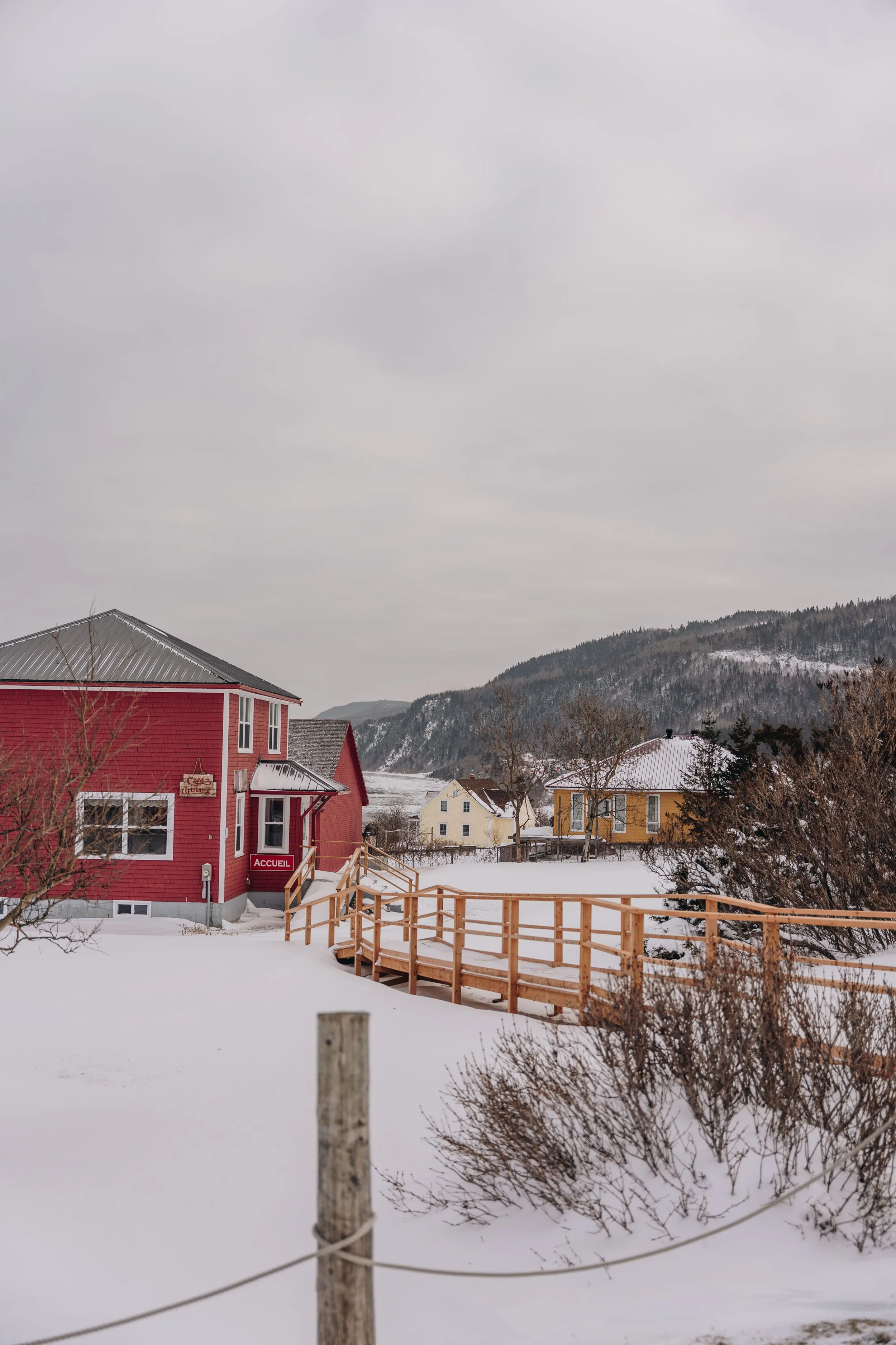 phare de la martre chien onvasepromener 6.jpg