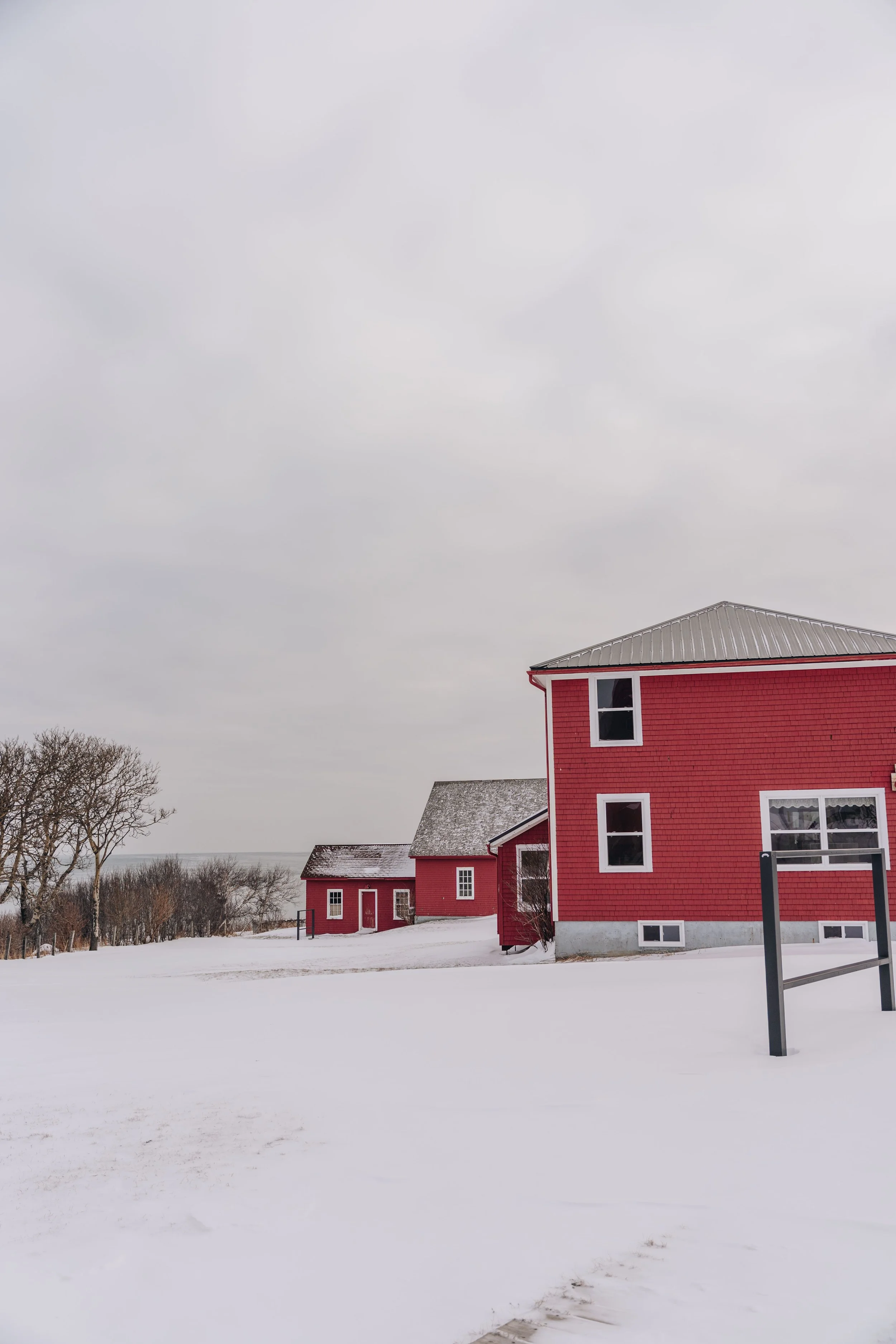 phare de la martre chien onvasepromener 7.jpg