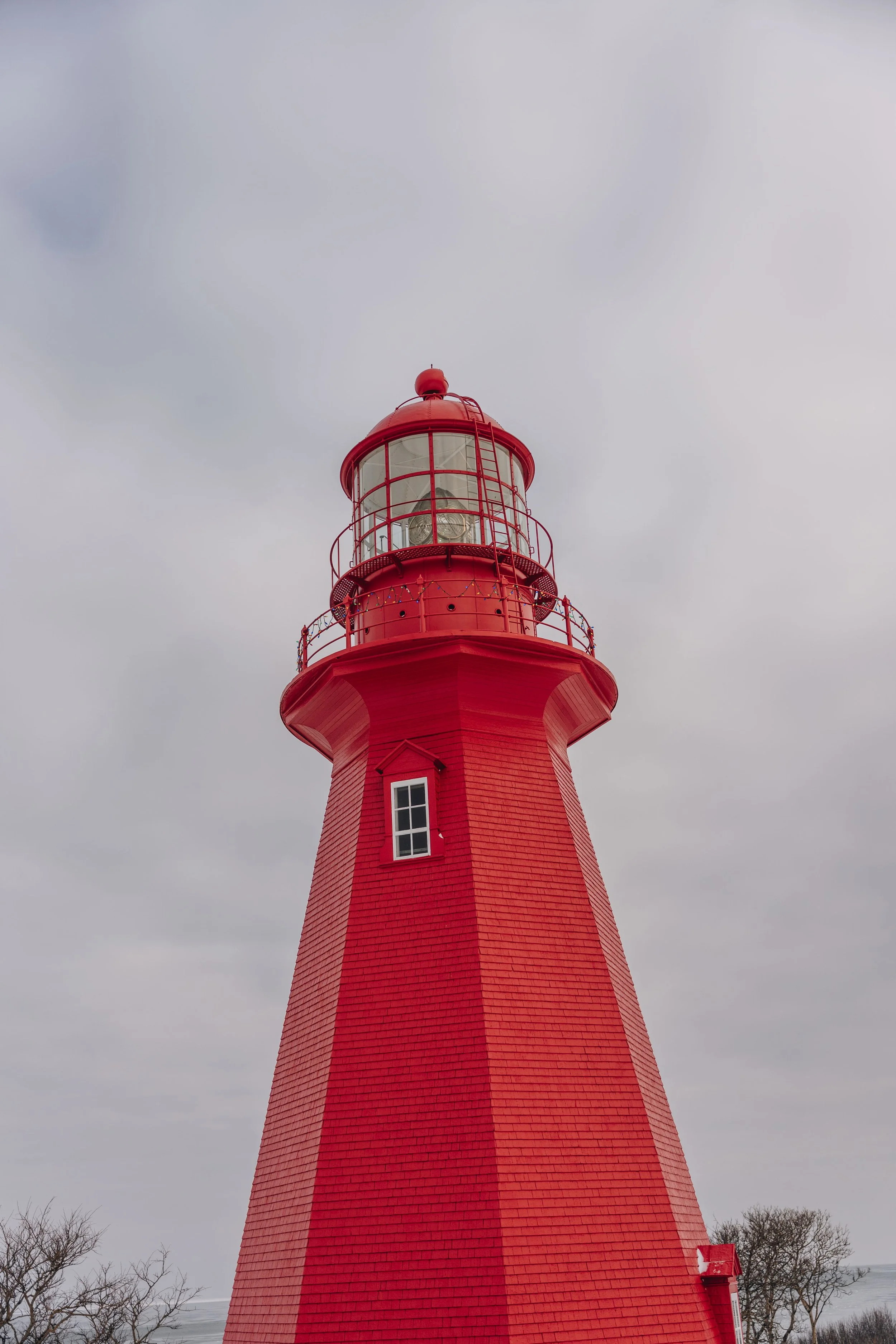 phare de la martre chien onvasepromener 5.jpg