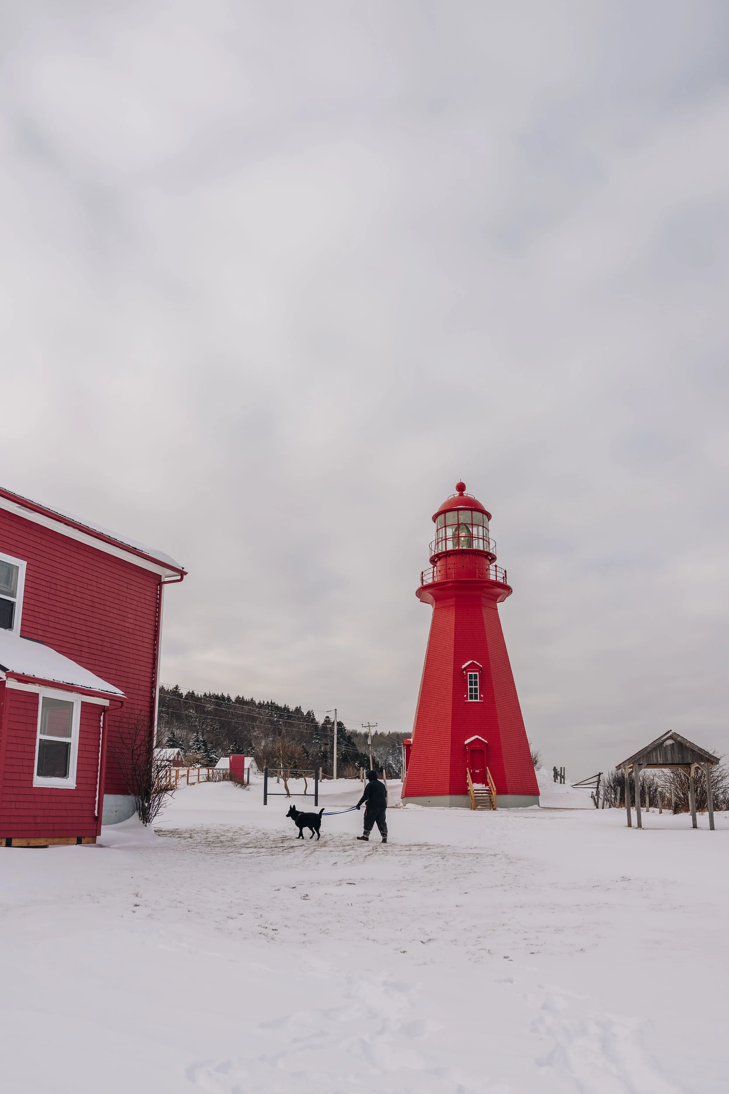 phare de la martre chien onvasepromener 14.jpg