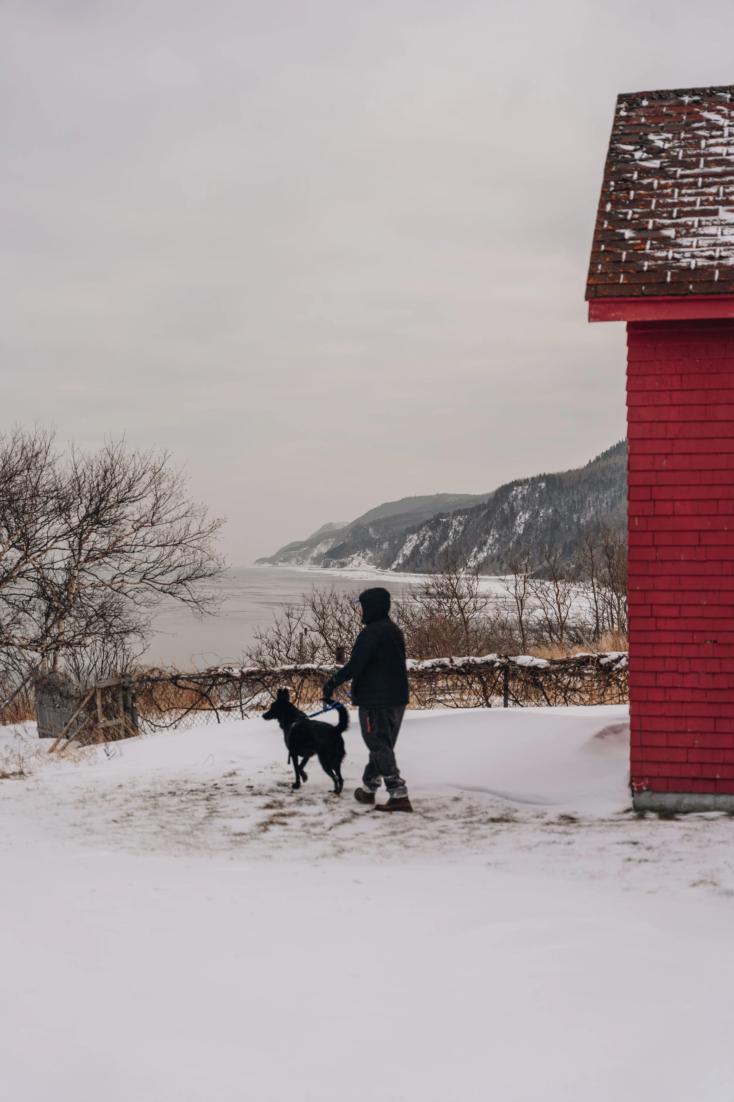 phare de la martre chien onvasepromener 10.jpg