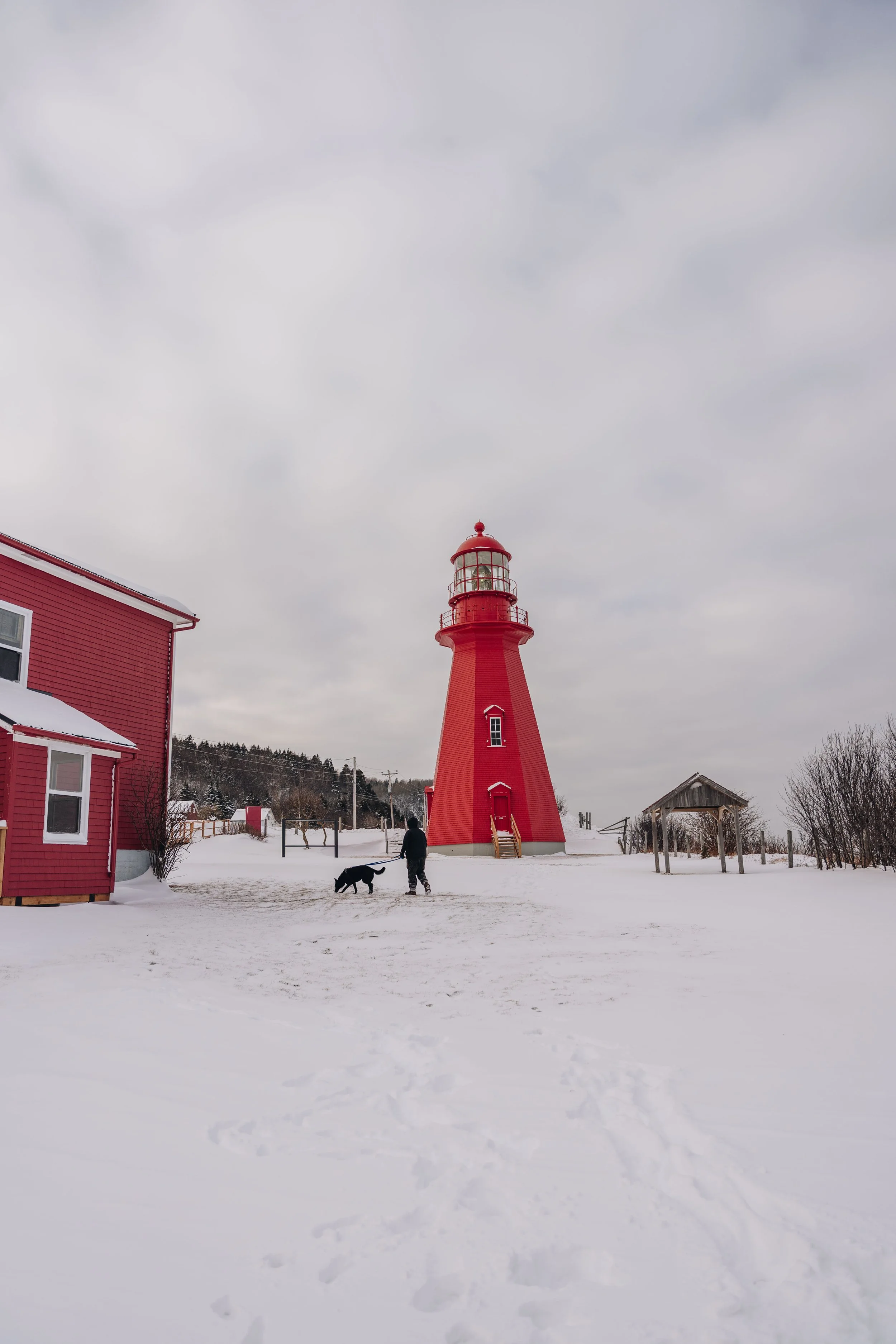 phare de la martre chien onvasepromener 13.jpg