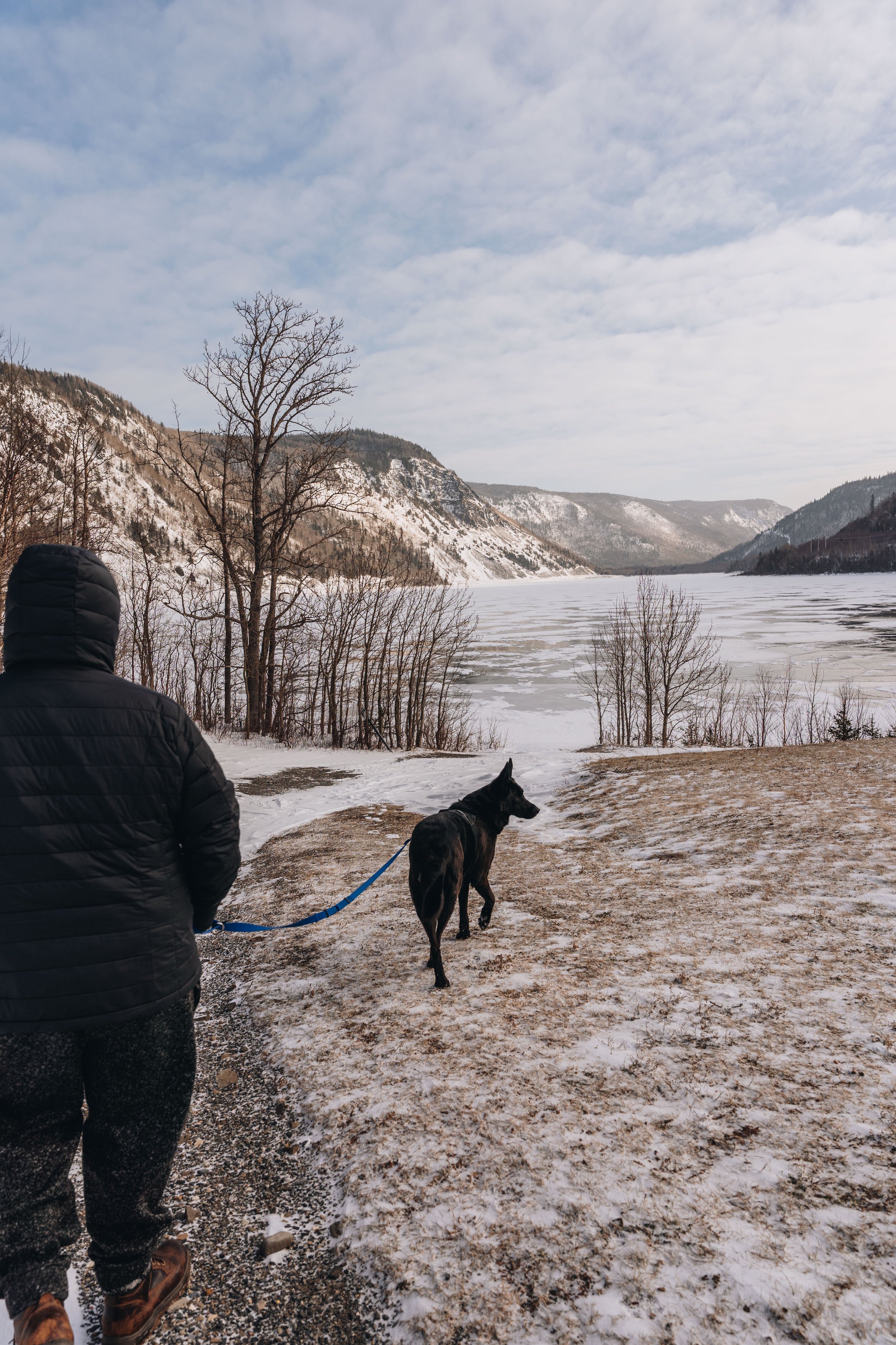 l'anse pleureuse halte onvasepromener.ca2.jpg