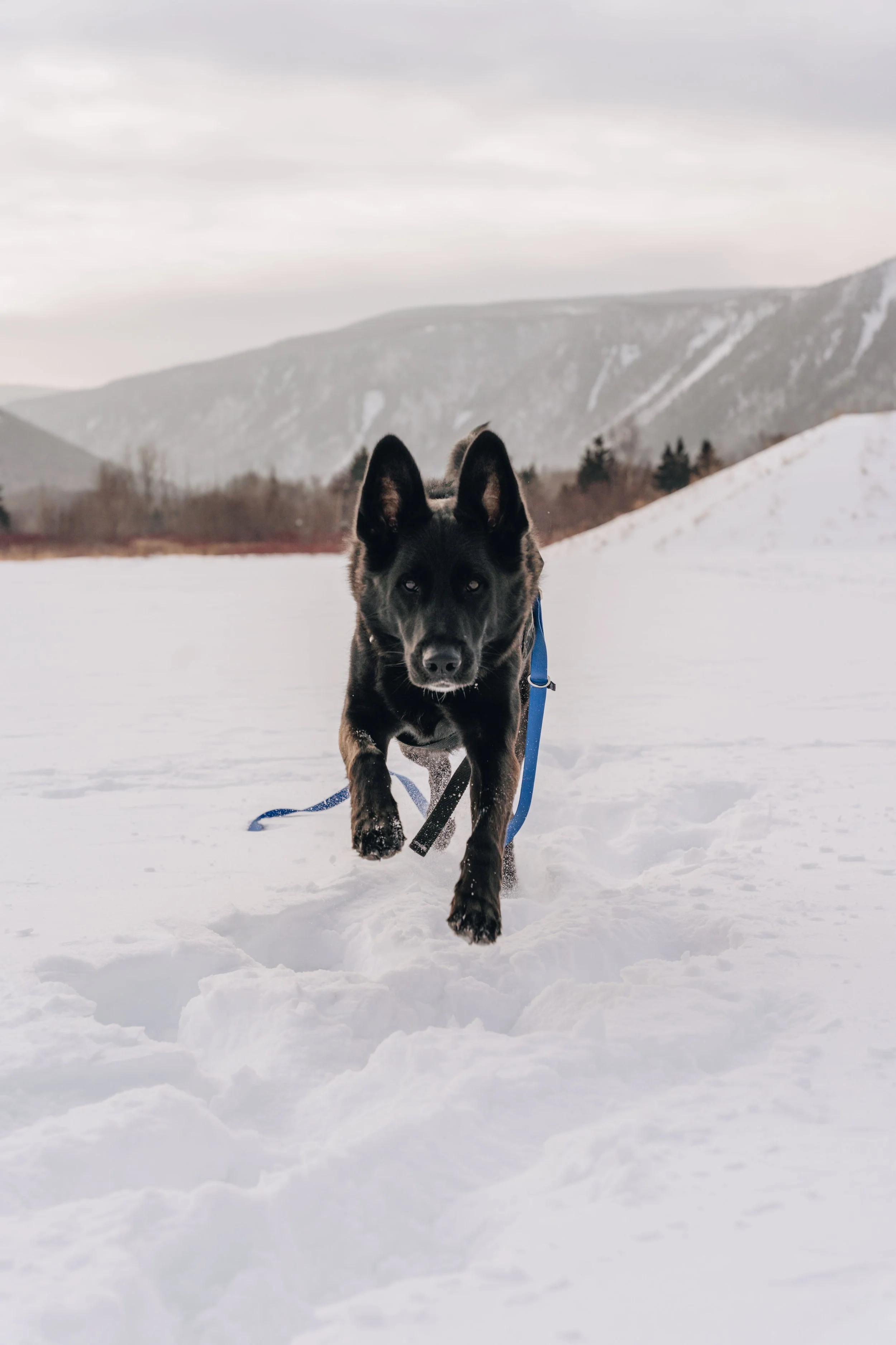 mont saint-pierre5.jpg