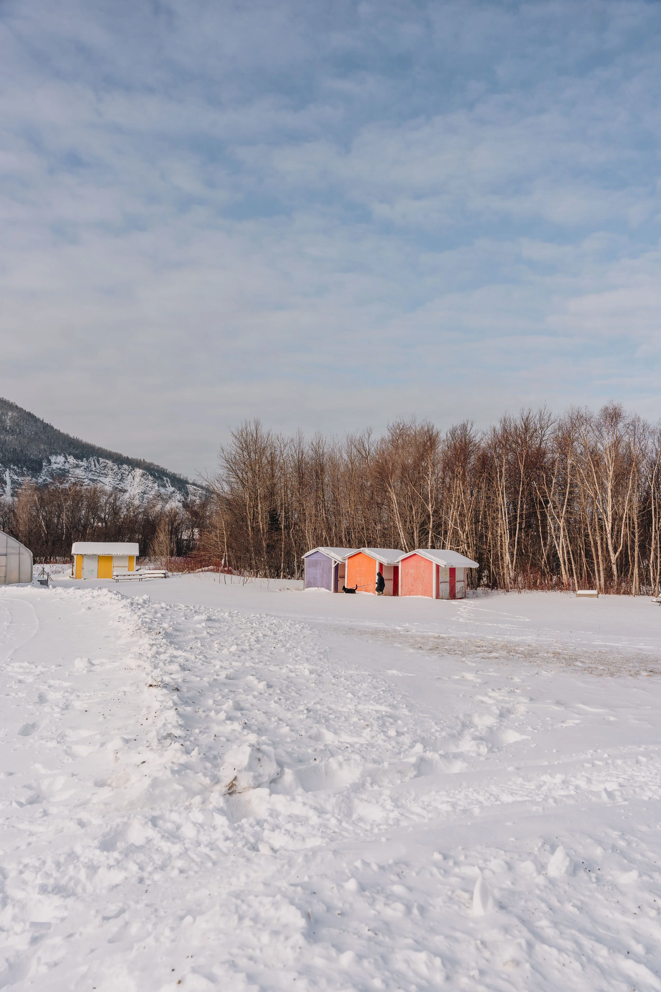 mont saint-pierre33.jpg