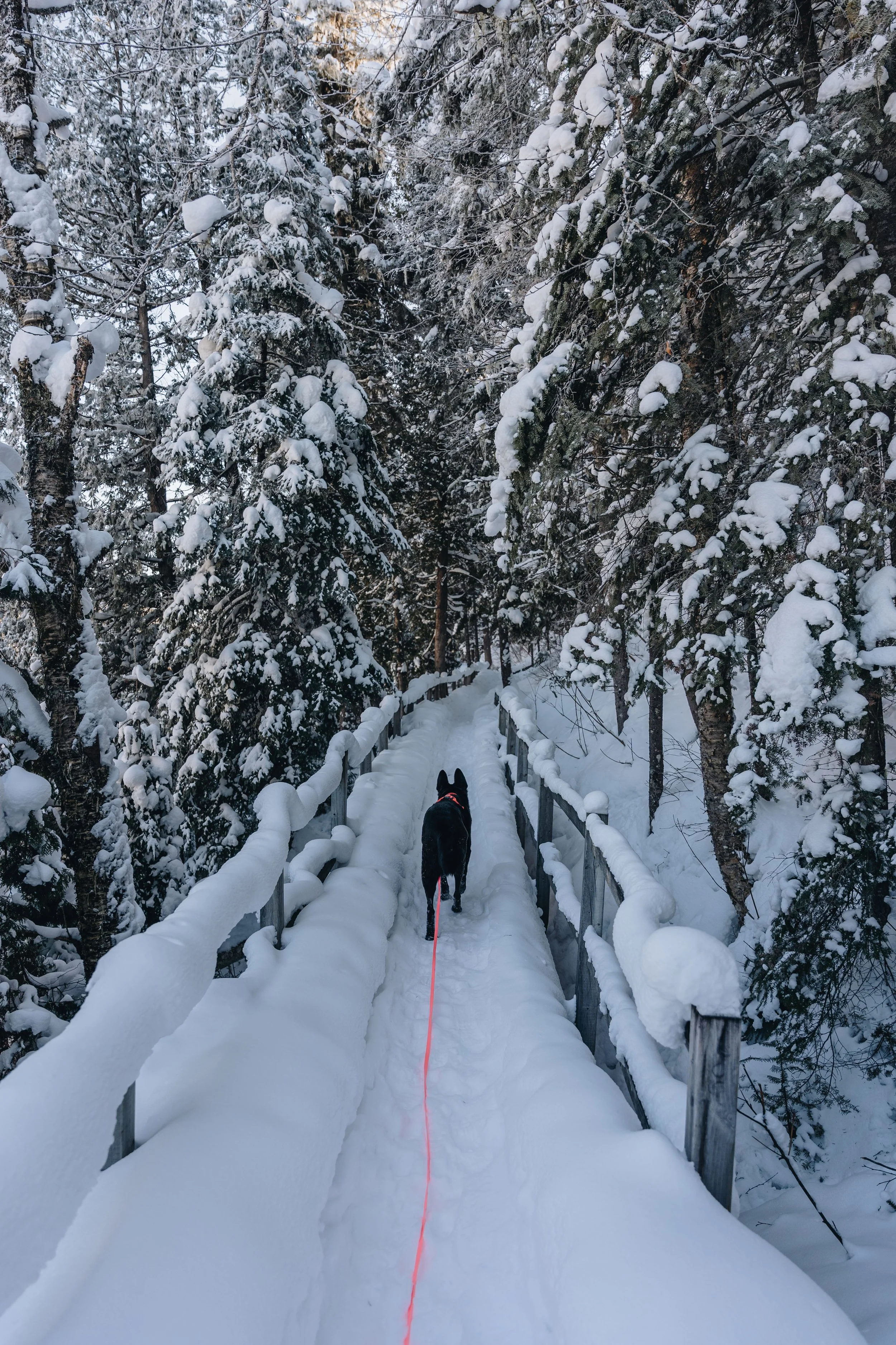 Chalet Hauska_onvasepromener 71.jpg
