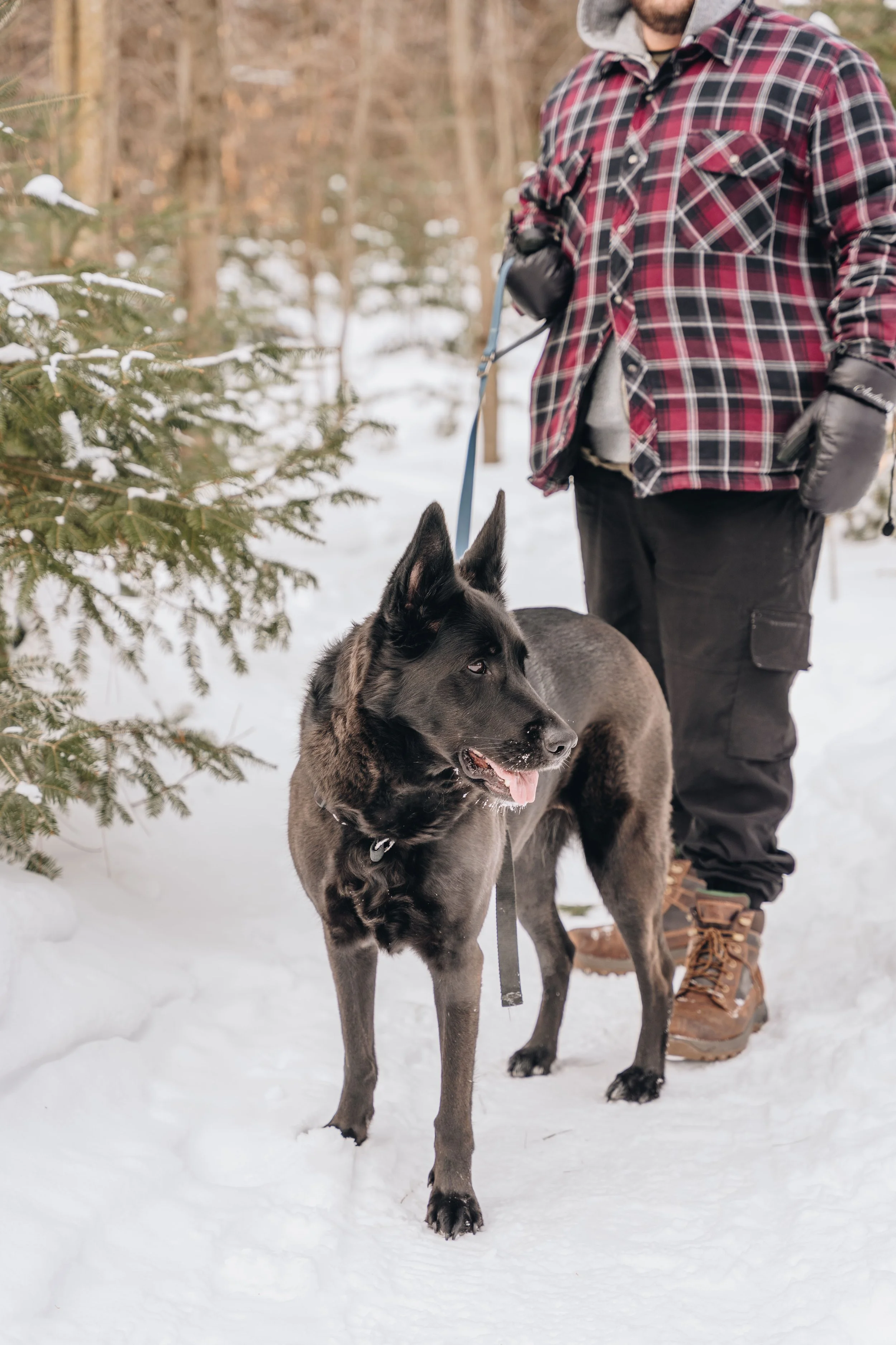 ULM_refuge_onvasepromener 94.jpg