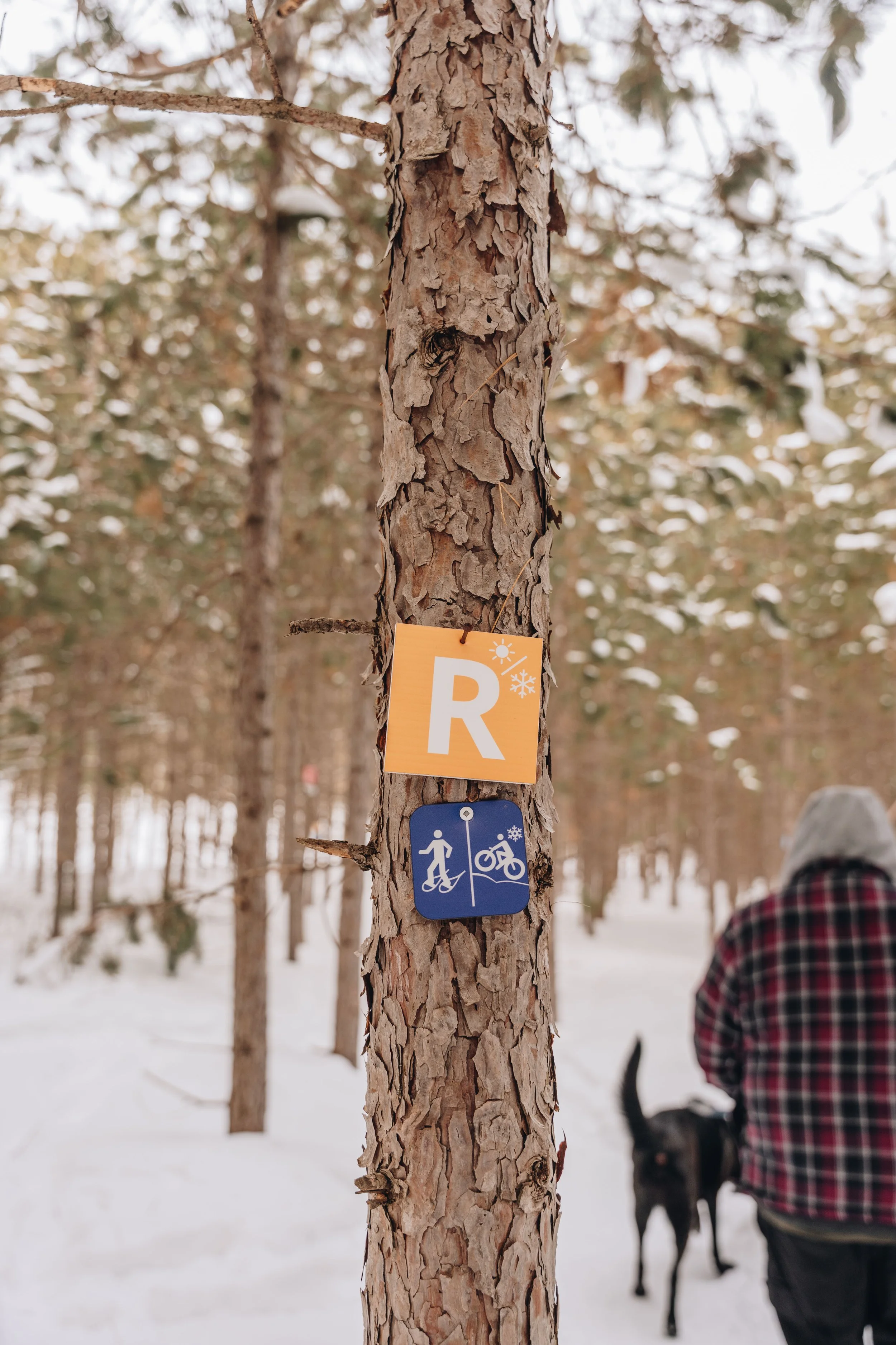 ULM_refuge_onvasepromener 91.jpg