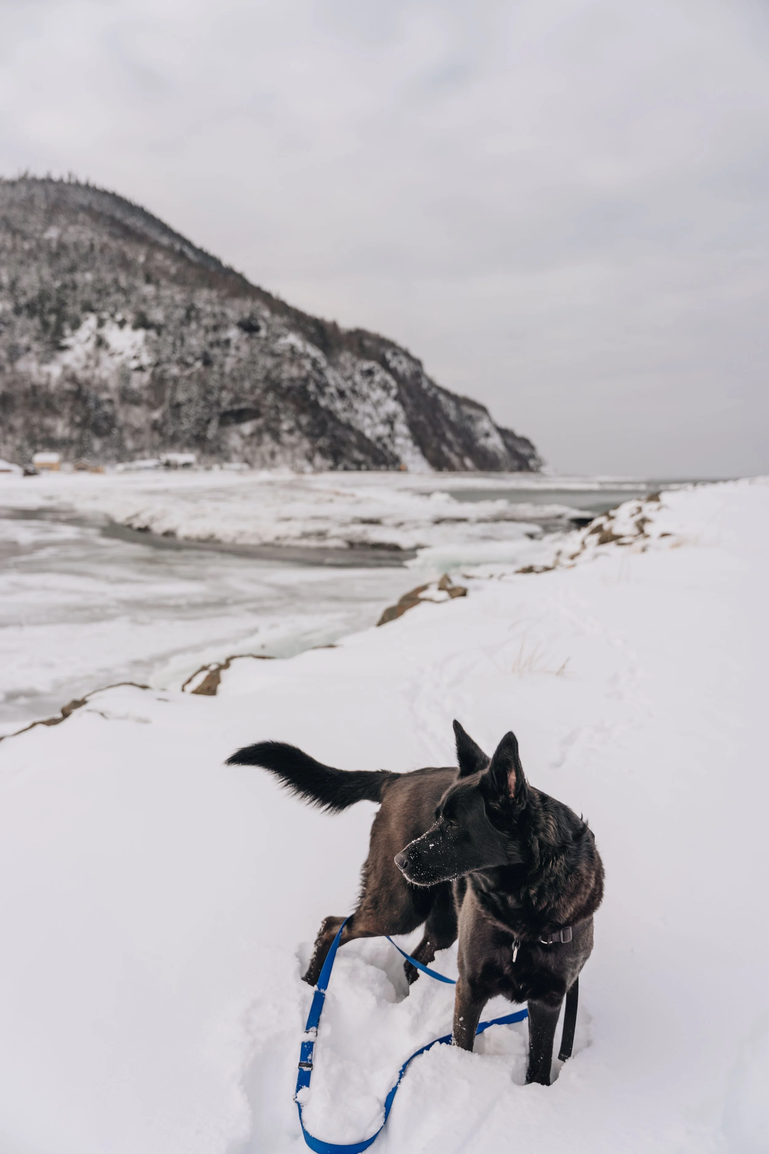quai marsoui onvasepromener6.jpg