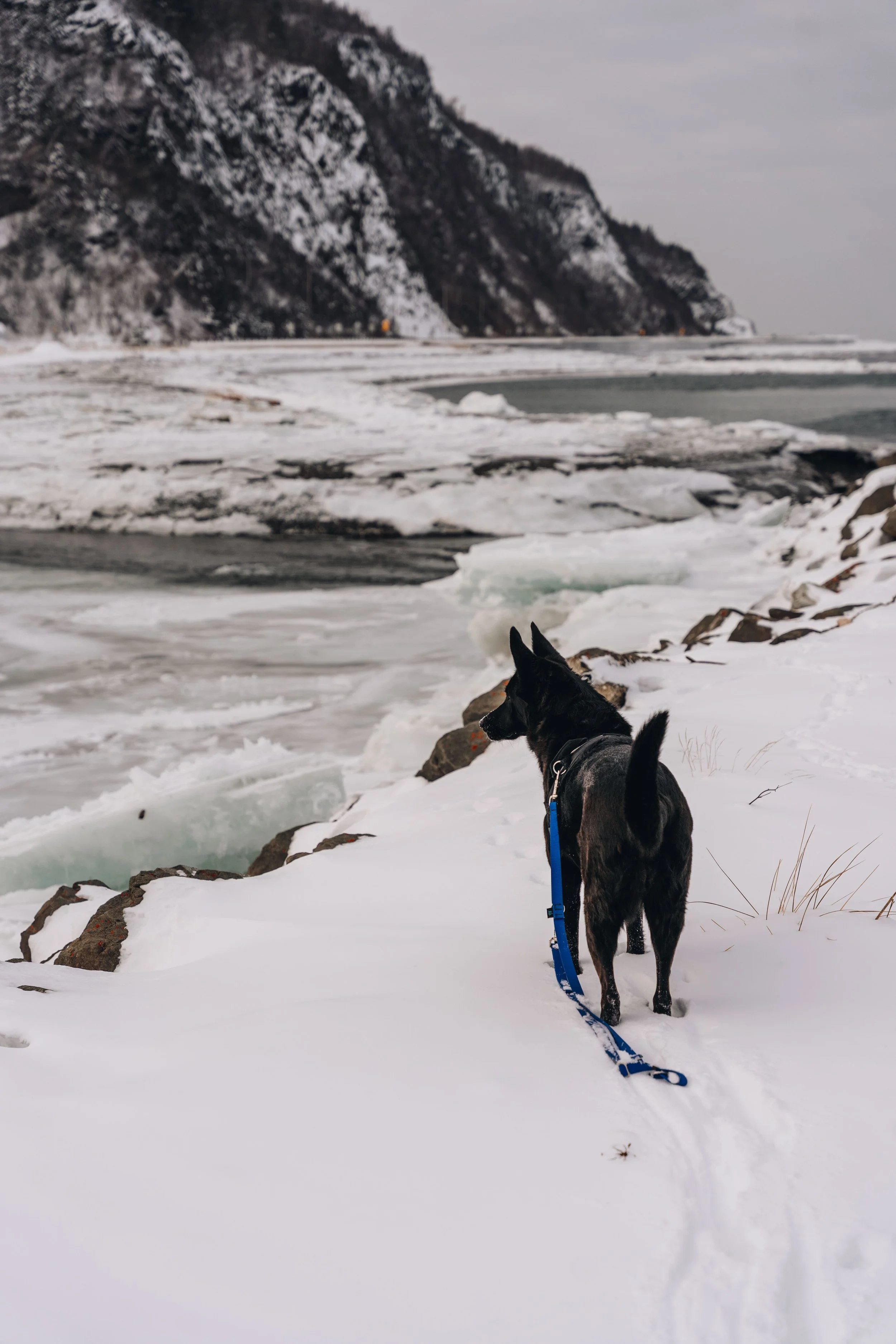 [Gaspésie, Marsoui] Quai de Marsoui