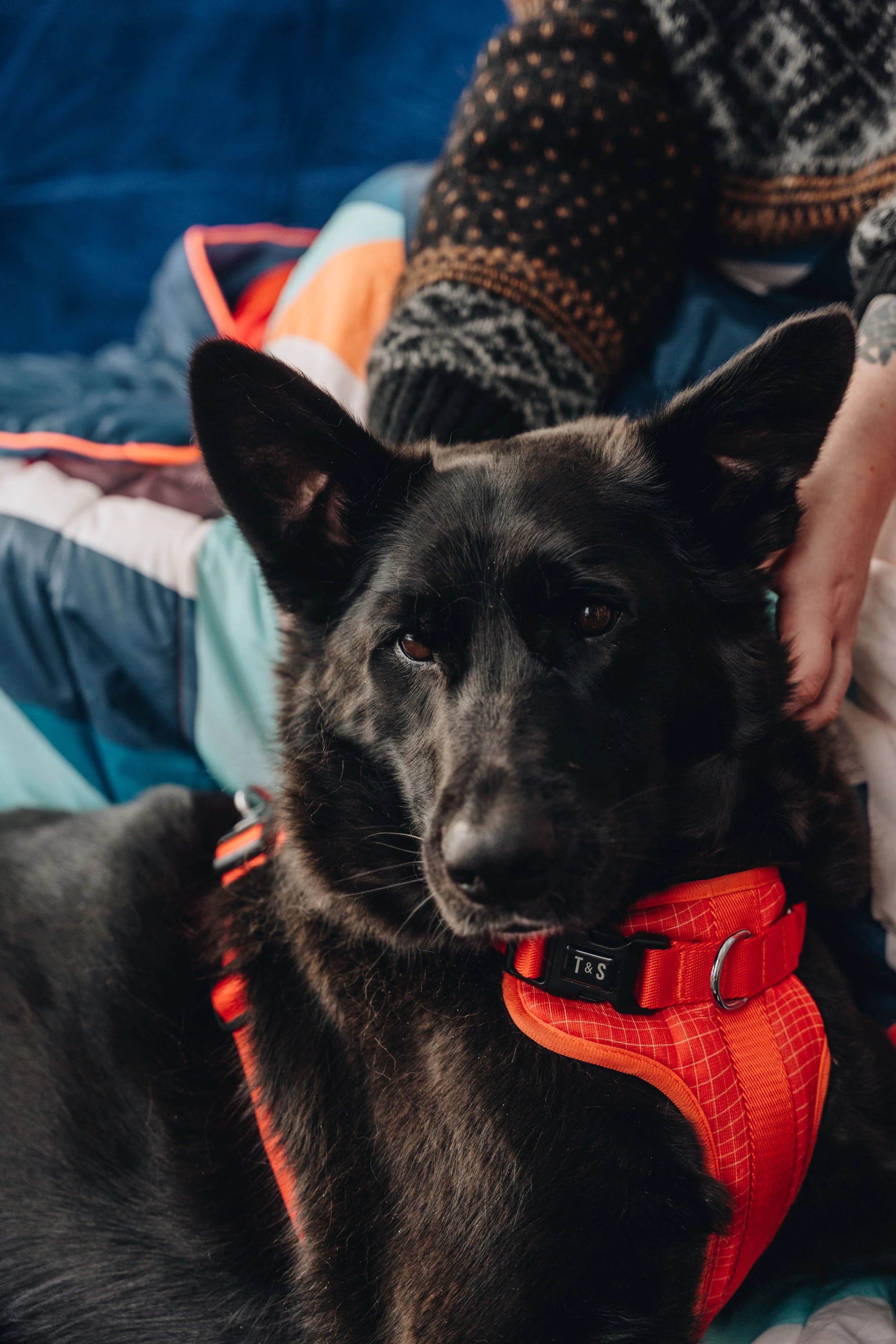 CoolBox_MontEdouard 173.jpg