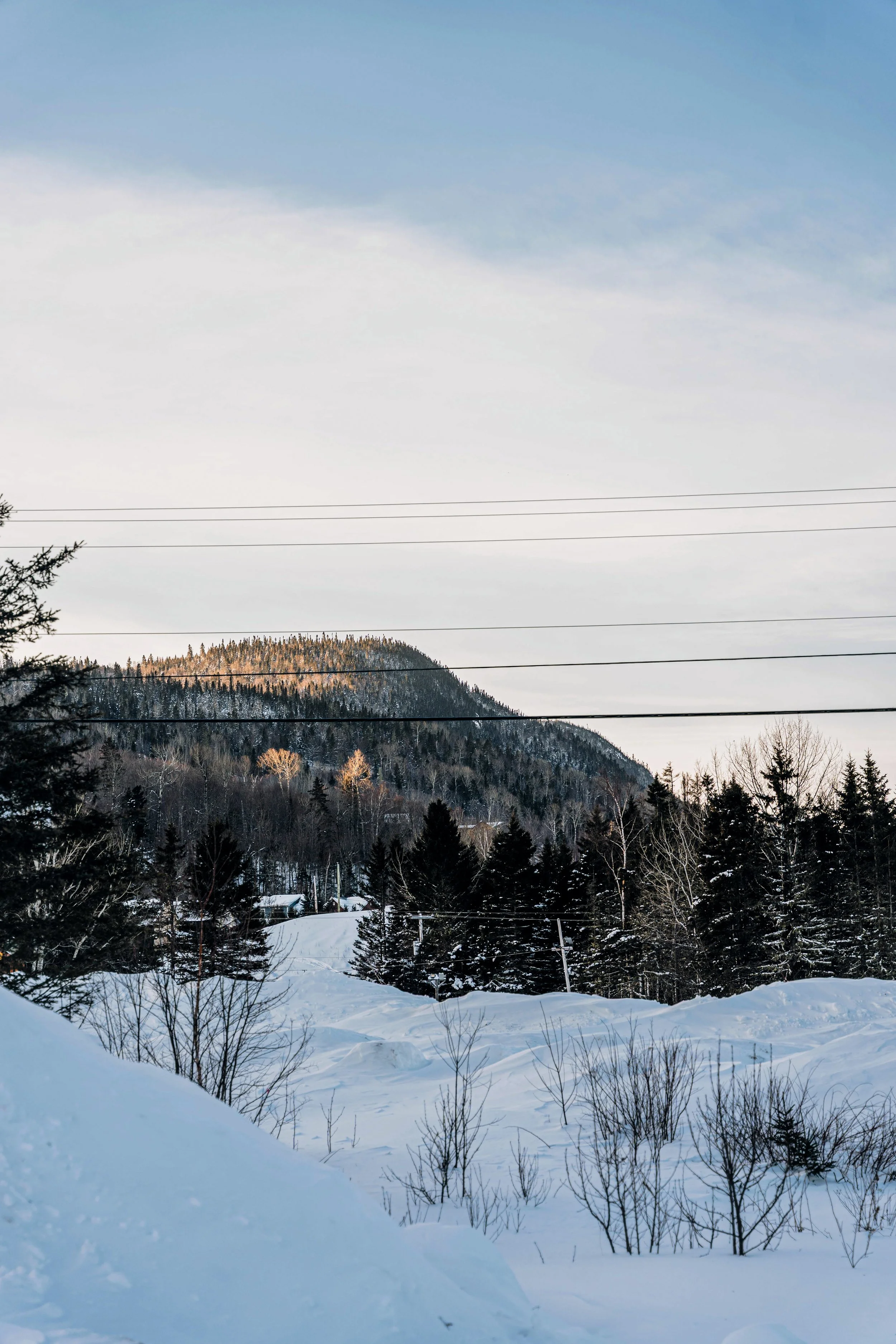 CoolBox_MontEdouard 58.jpg